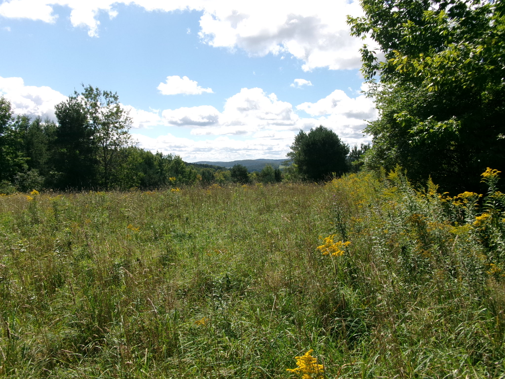 Listing Image 26