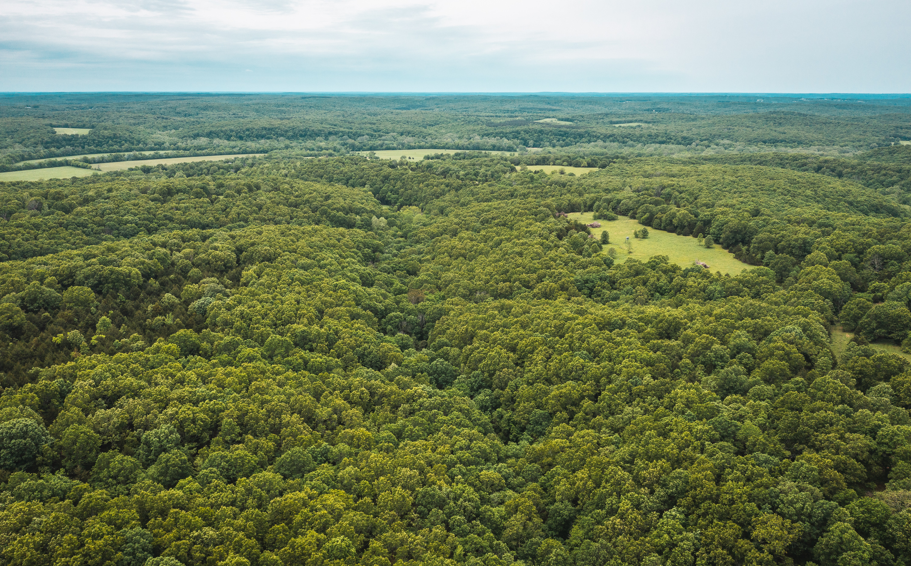 Gasconade Angus Ranch