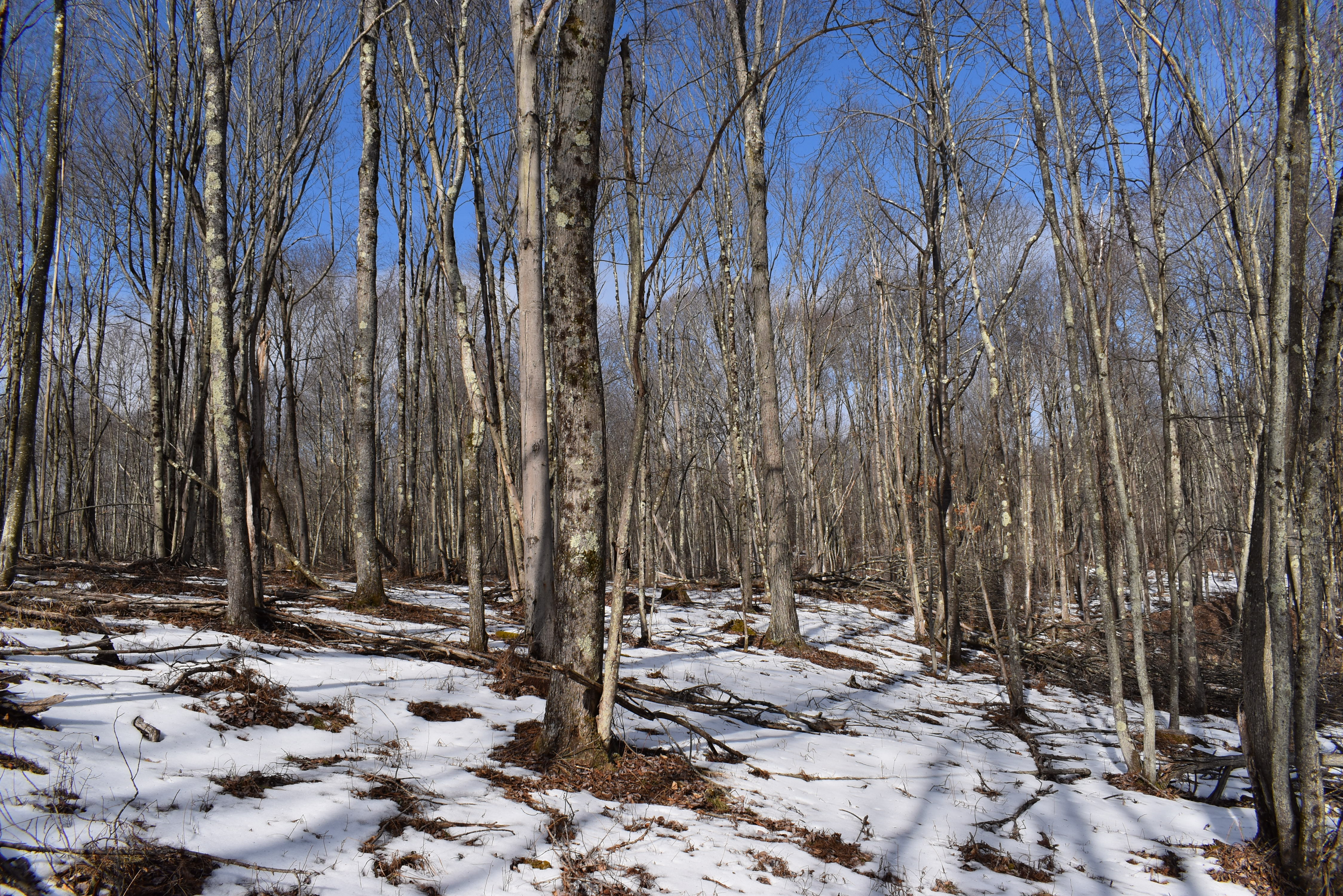 Keating Mountain Masterpiece