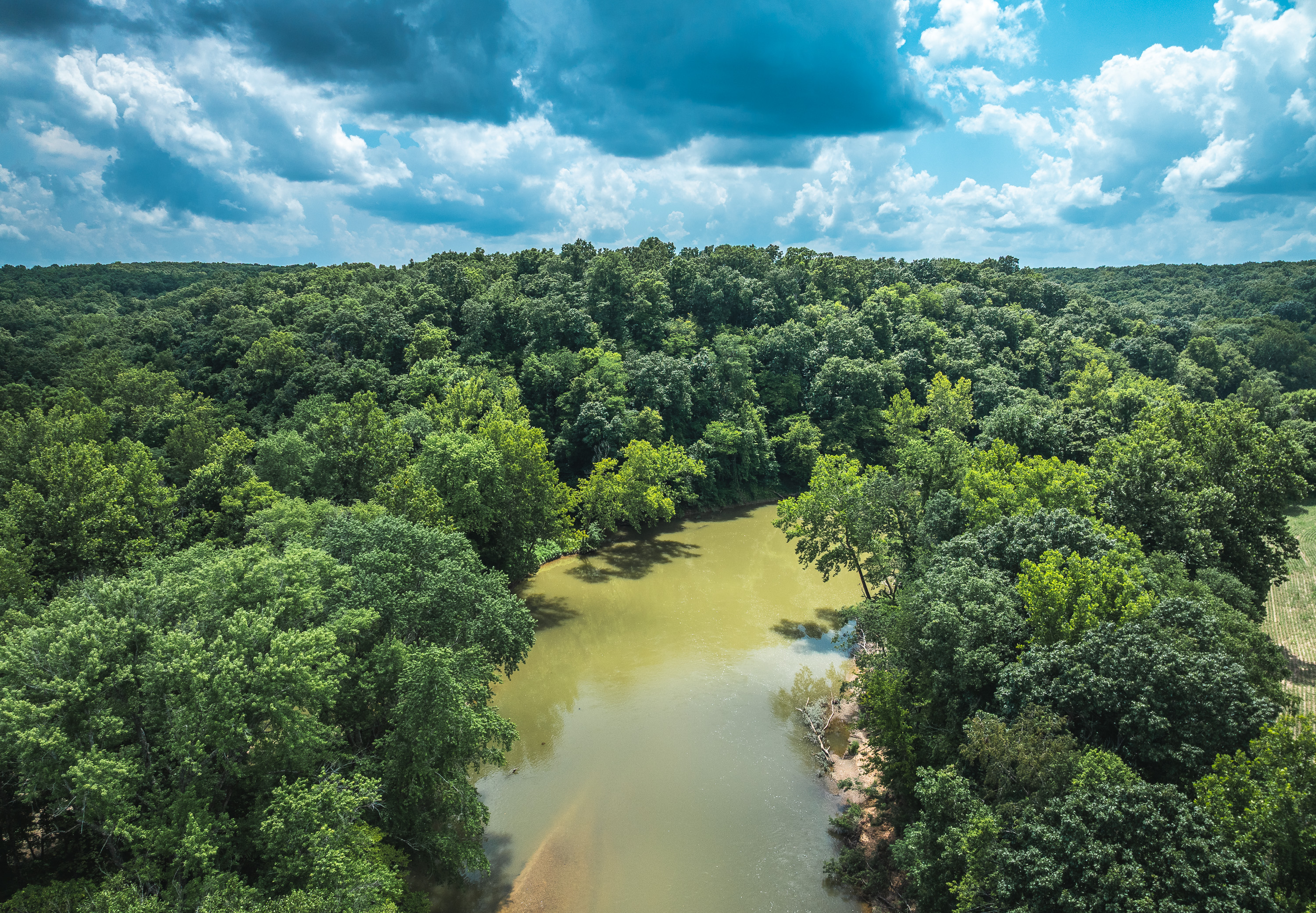 Gasconade Angus Ranch