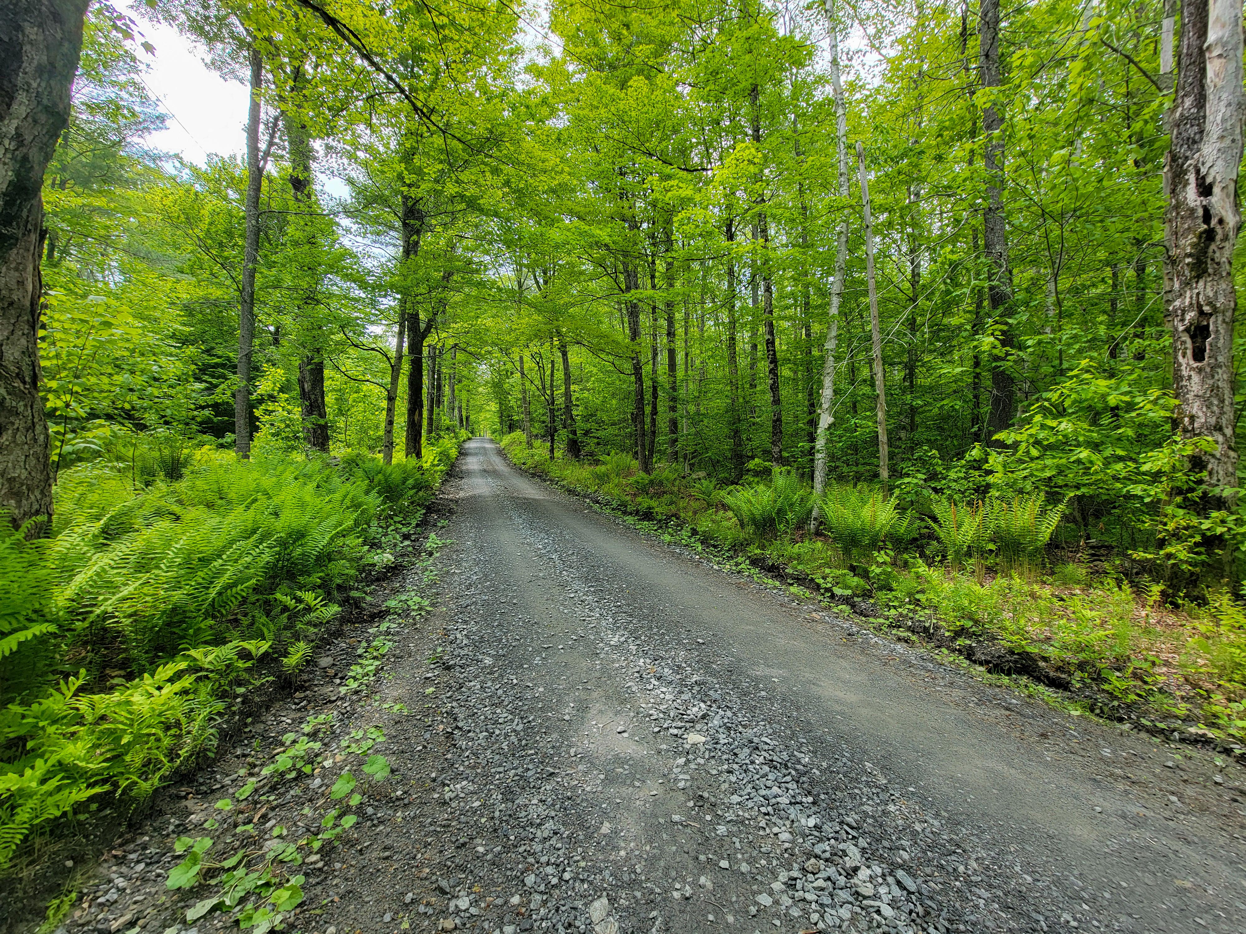 184 Schoolhouse Rd Jamaica