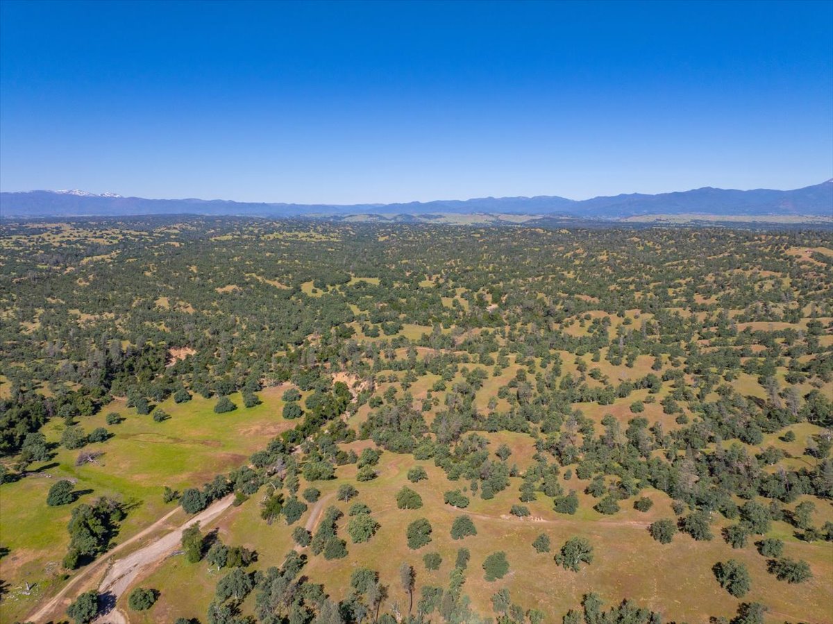Davis Ranch Road