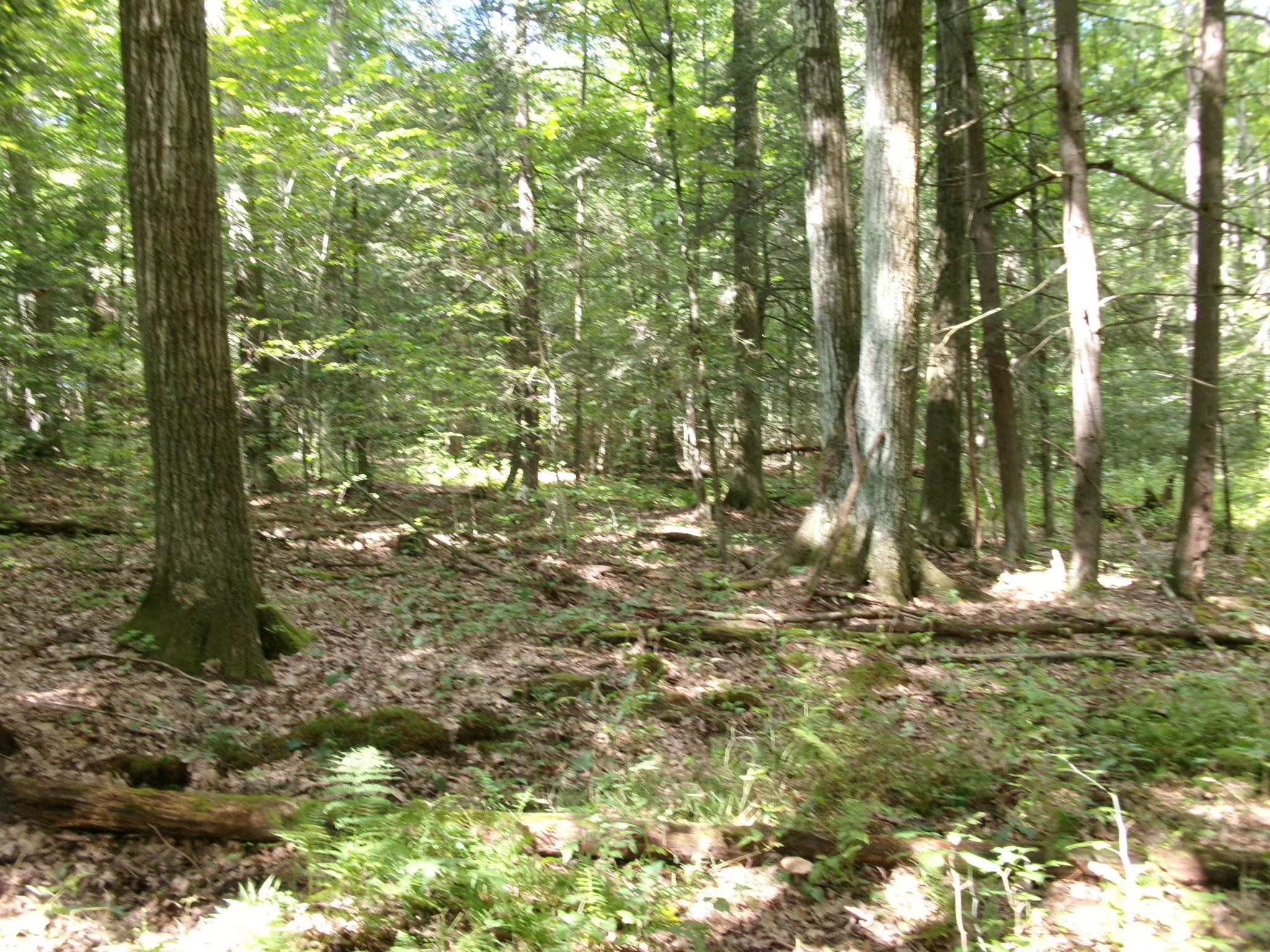 Listing Image 24