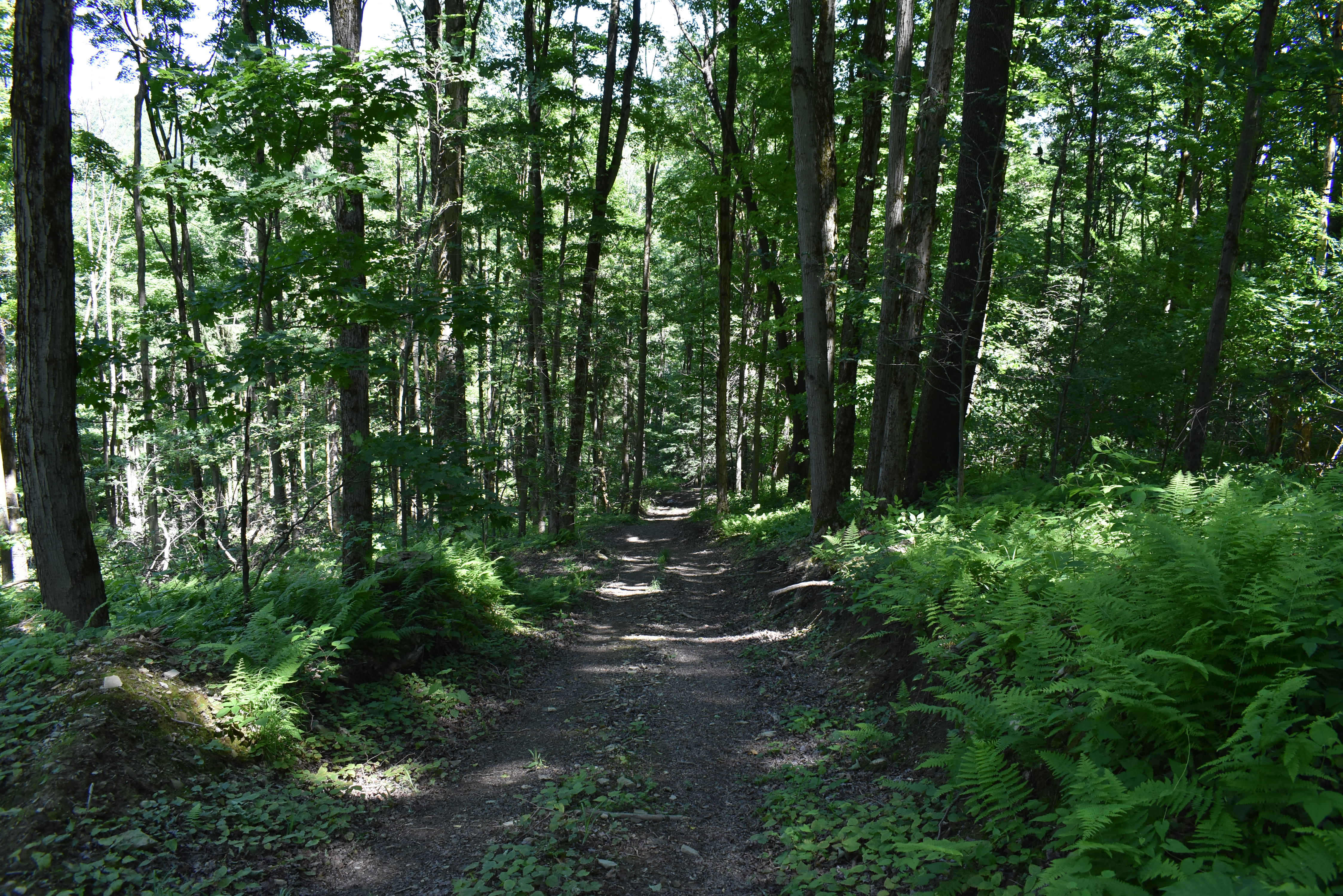 Fabulous Farrington Hollow
