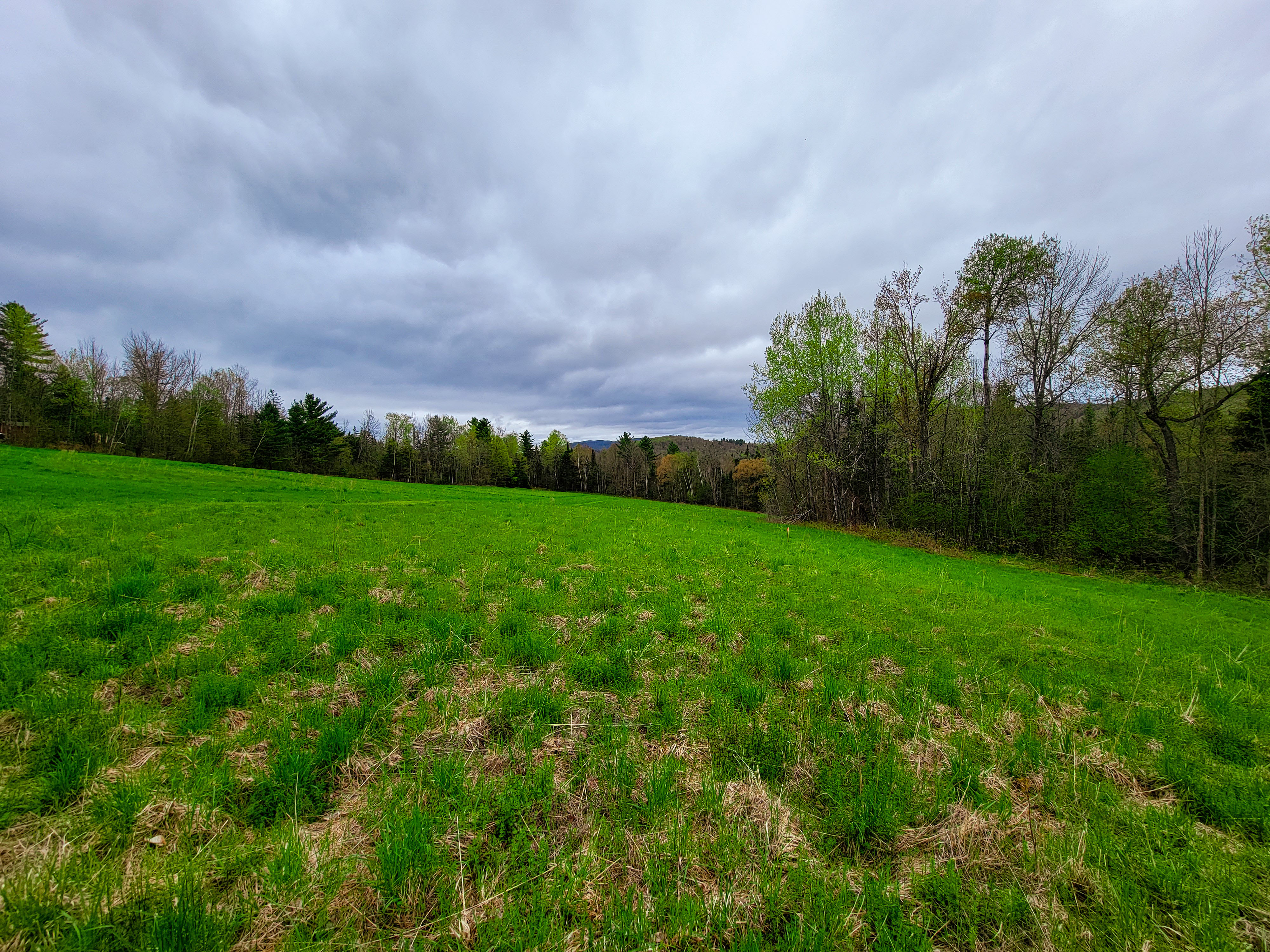 855 Campbell Rd - Waterford