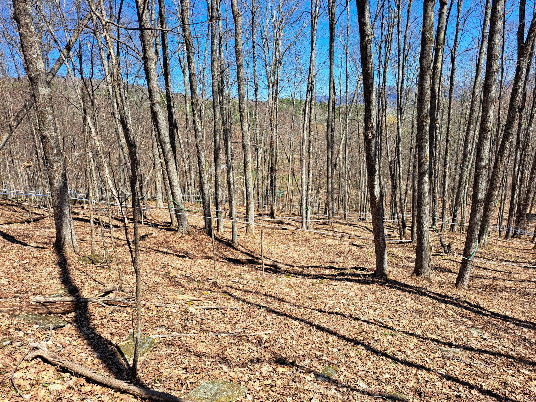 Listing Image 48