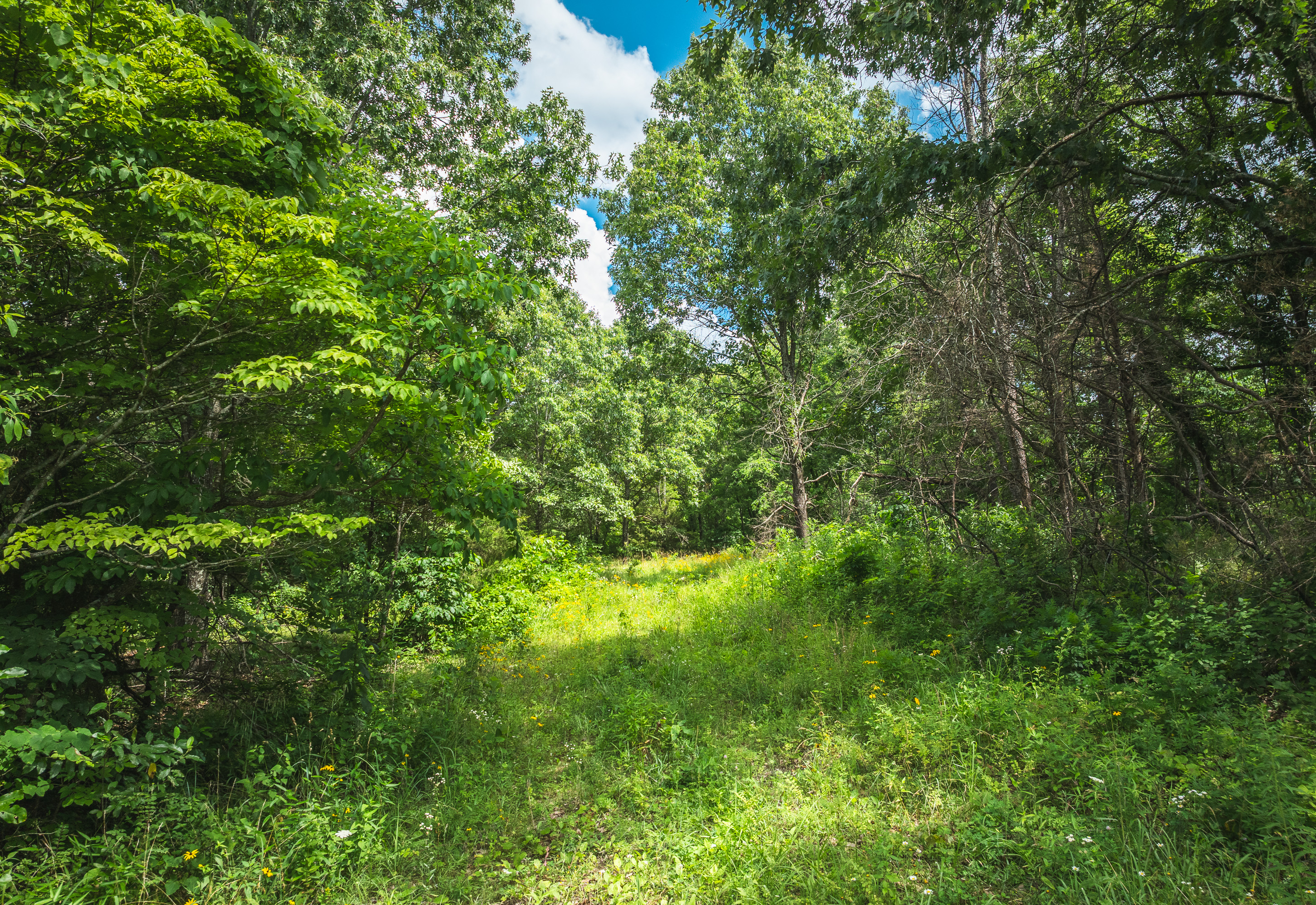 Listing Image 51