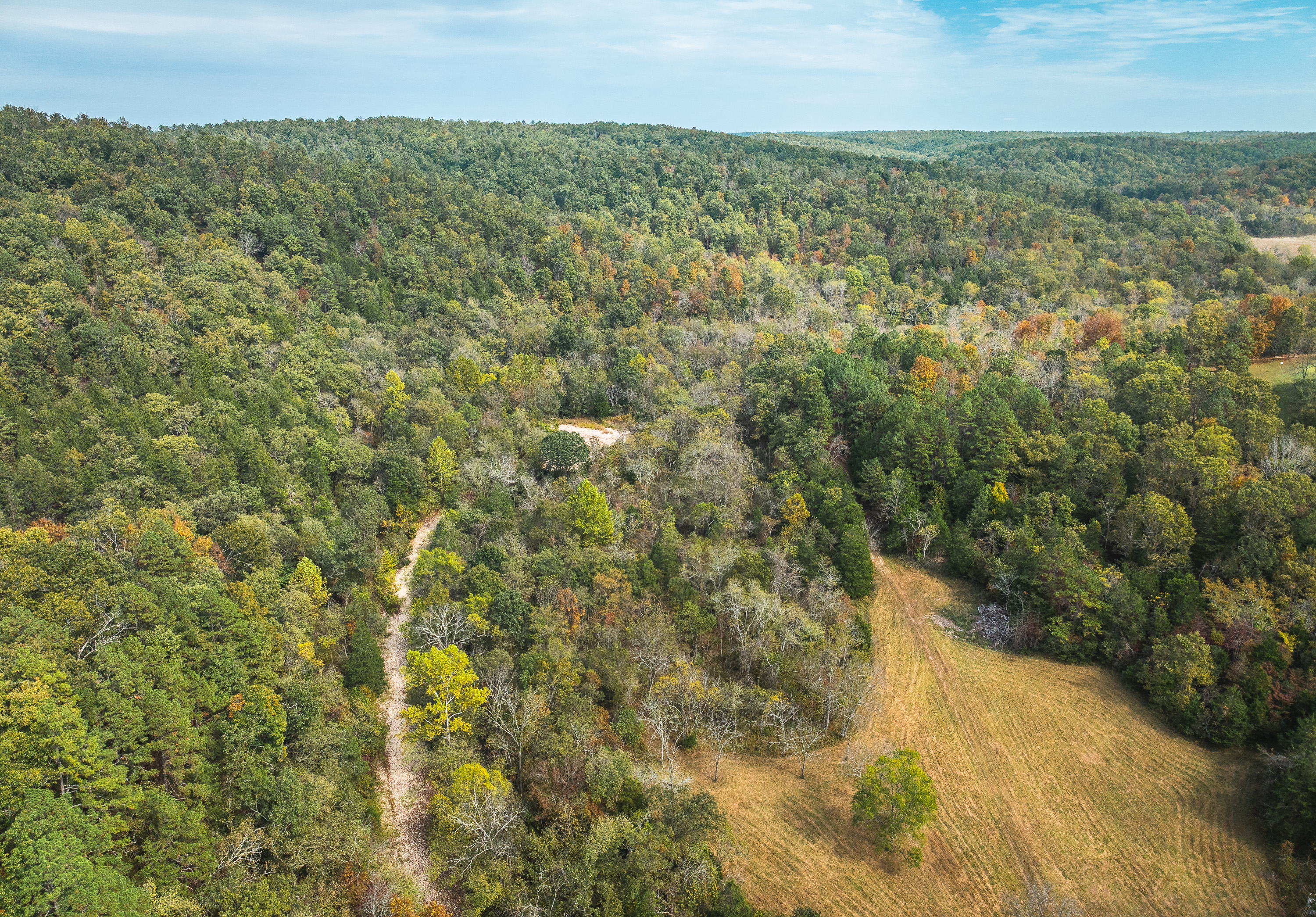 Little Gladden Creek Hunter