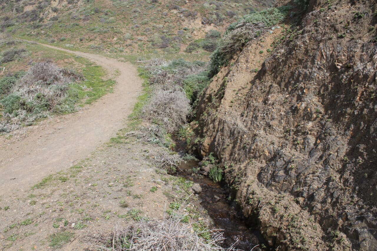 Listing Image 41