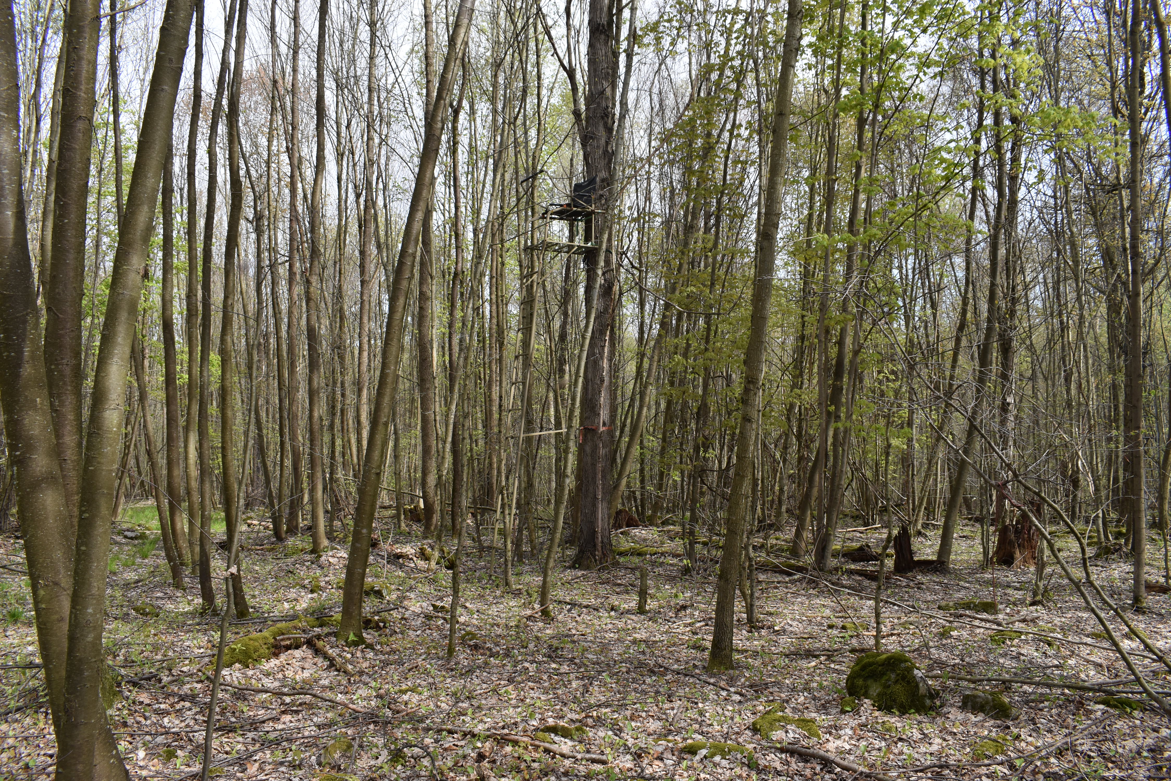 Listing Image 13
