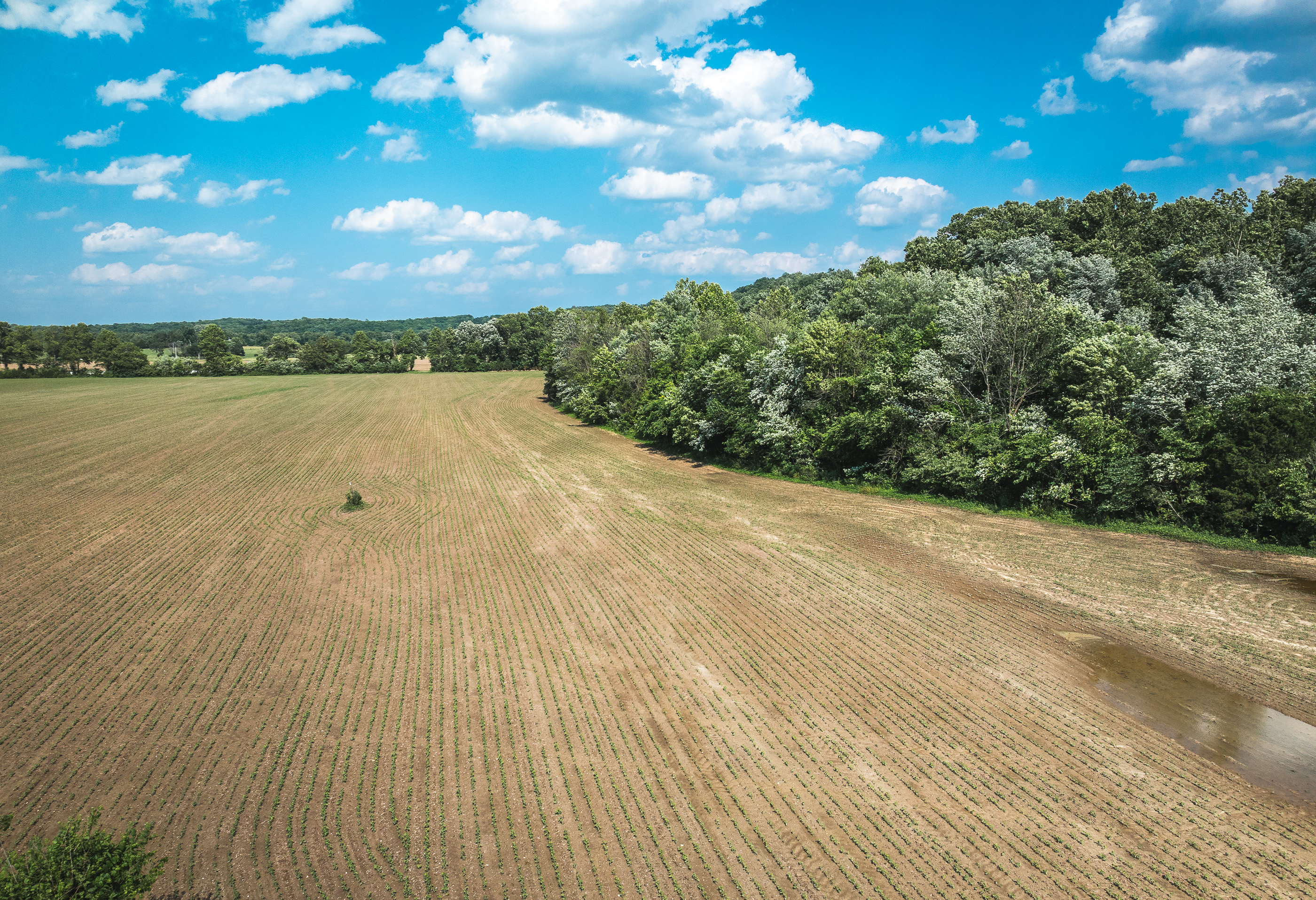 Union Runway Tract D