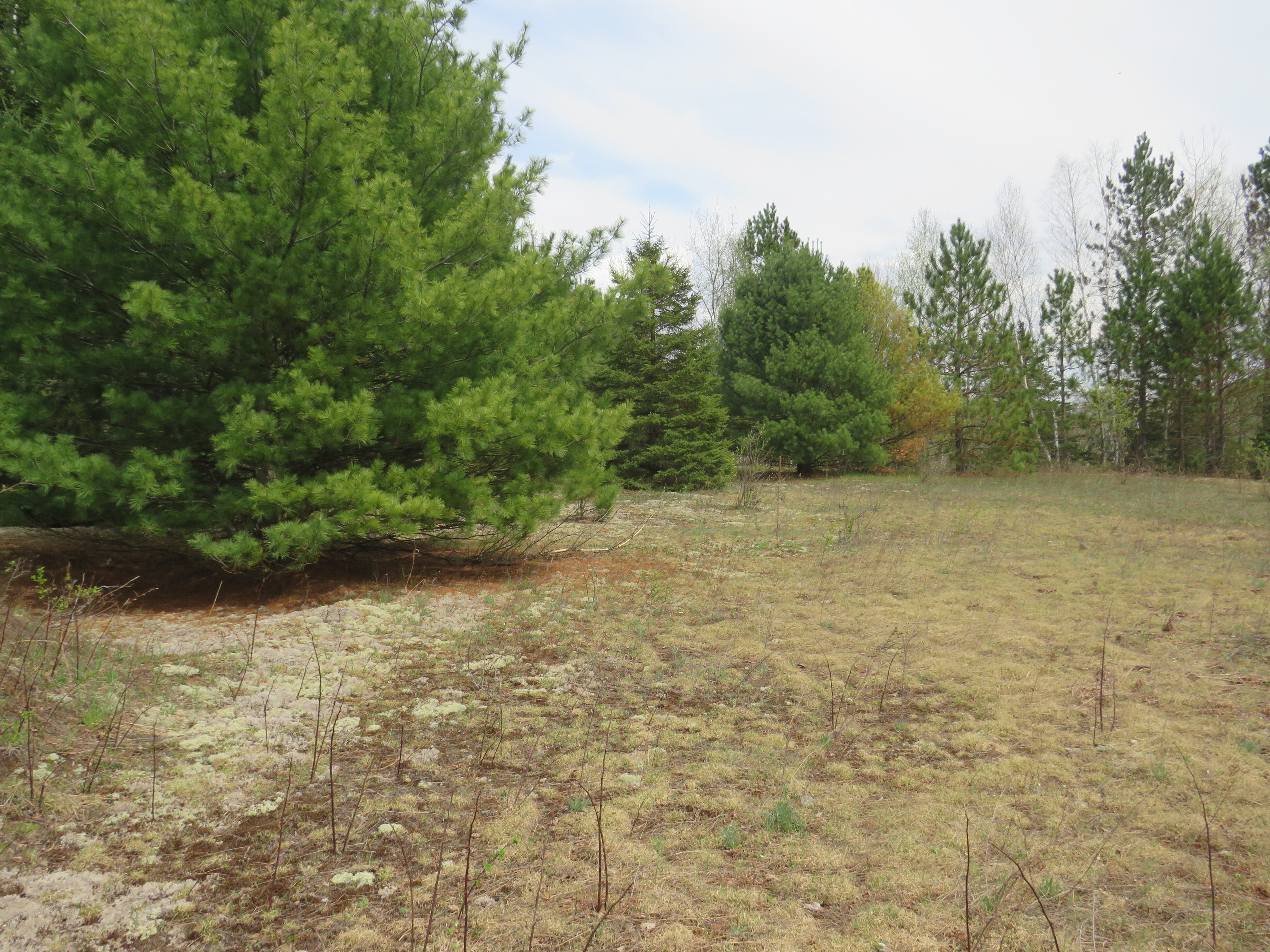 160 Acre Wilderness Retreat 50175391