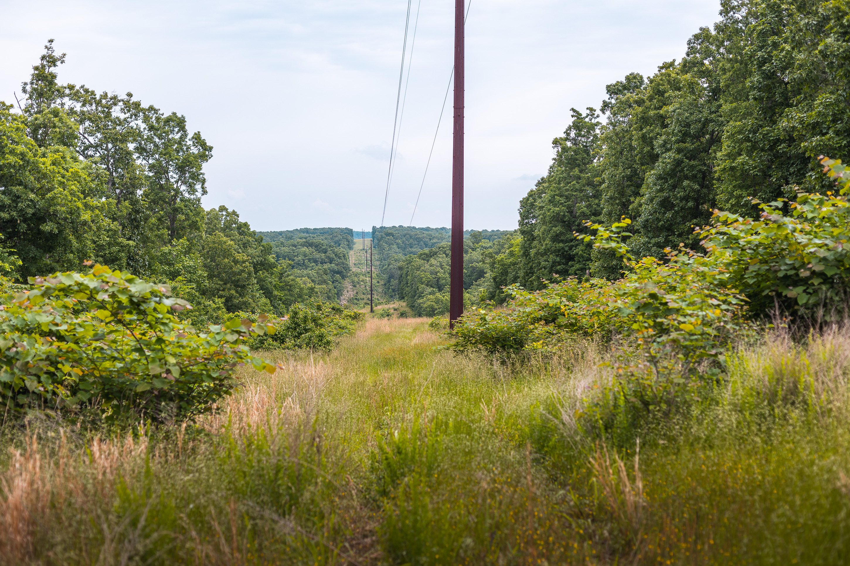 Long Ridge 700