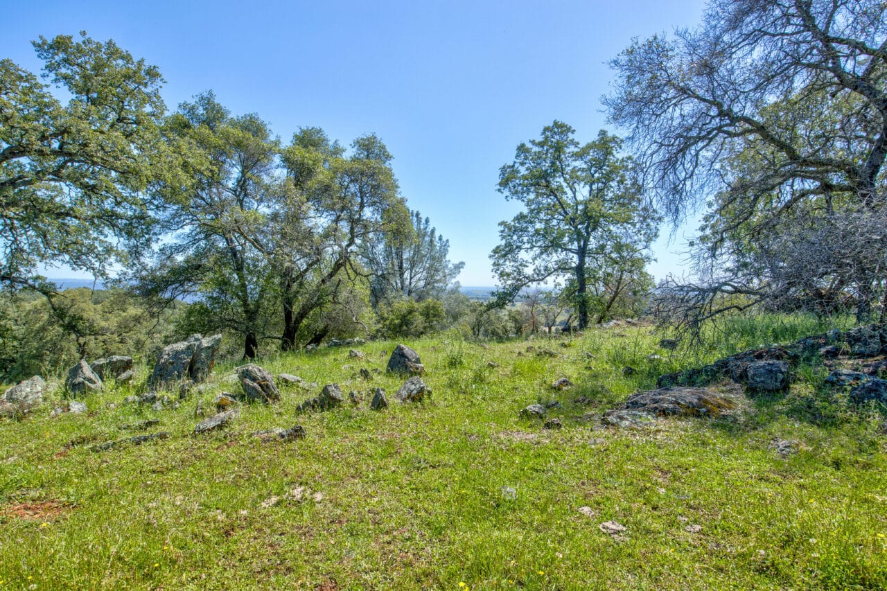 Listing Image 84