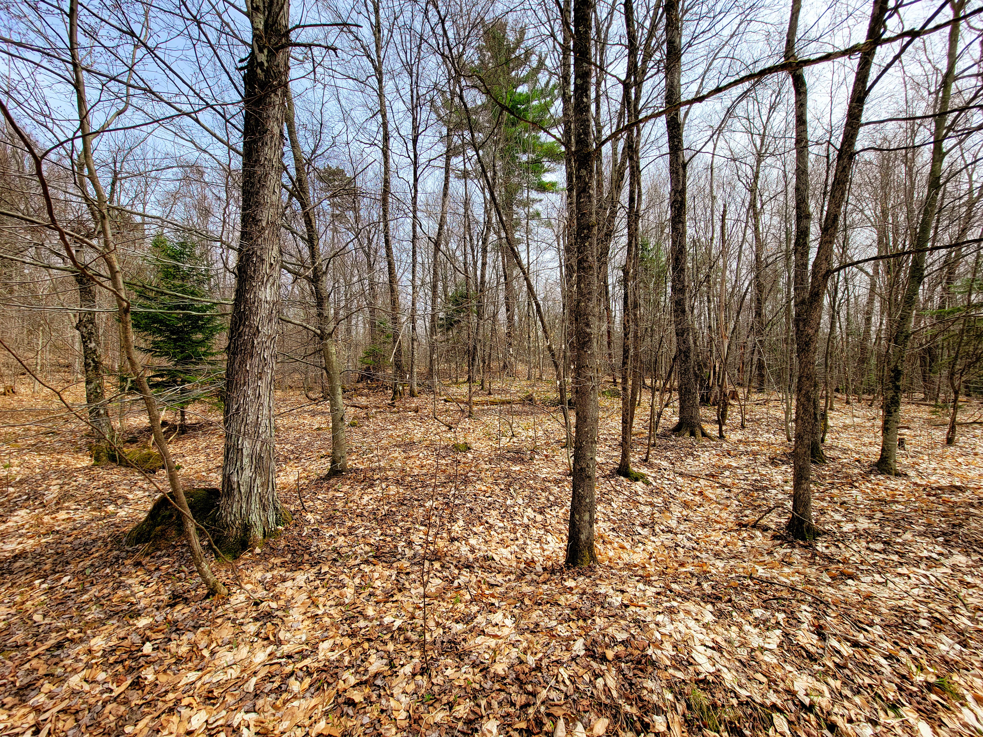 Listing Image 47