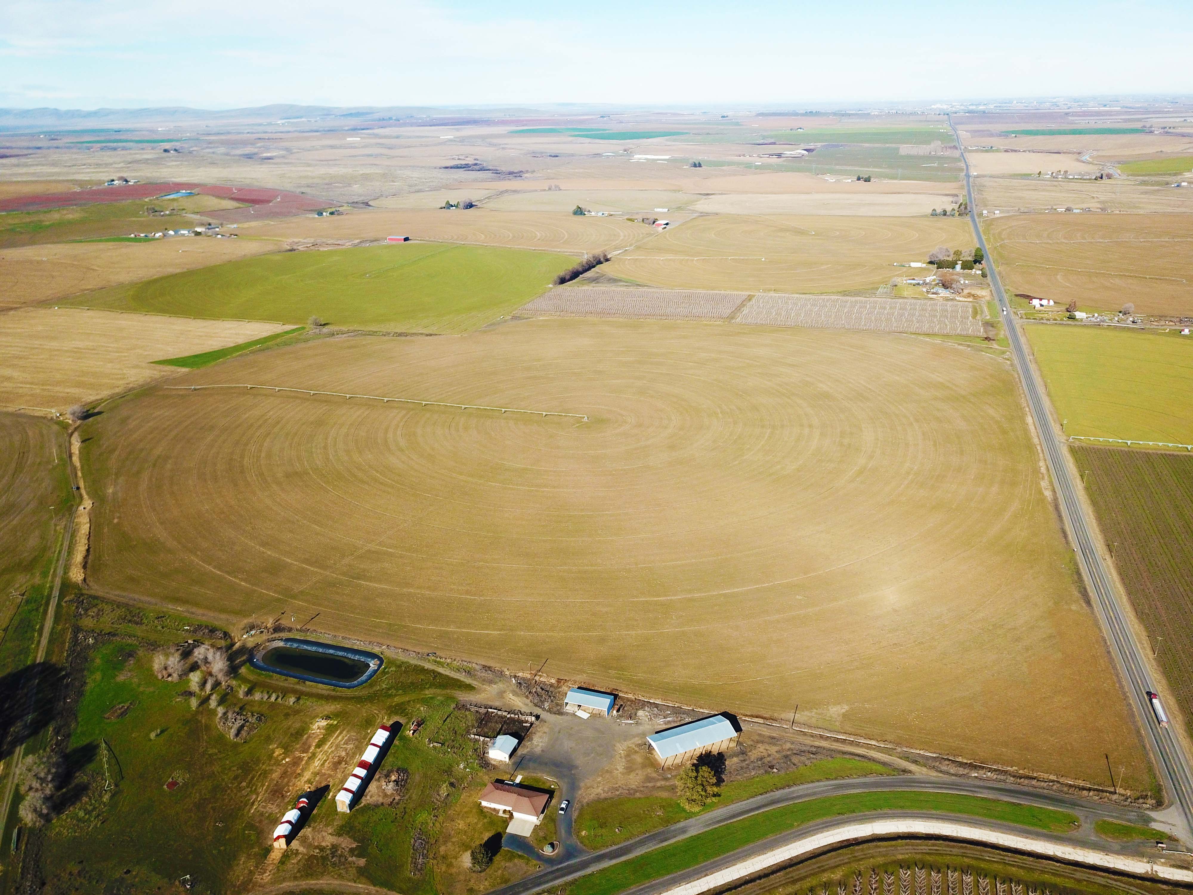 Fern Road Irrigated farm