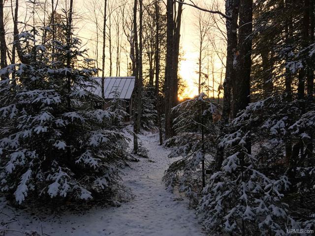 Remote Off Grid 80 A w/Cabin 50173610
