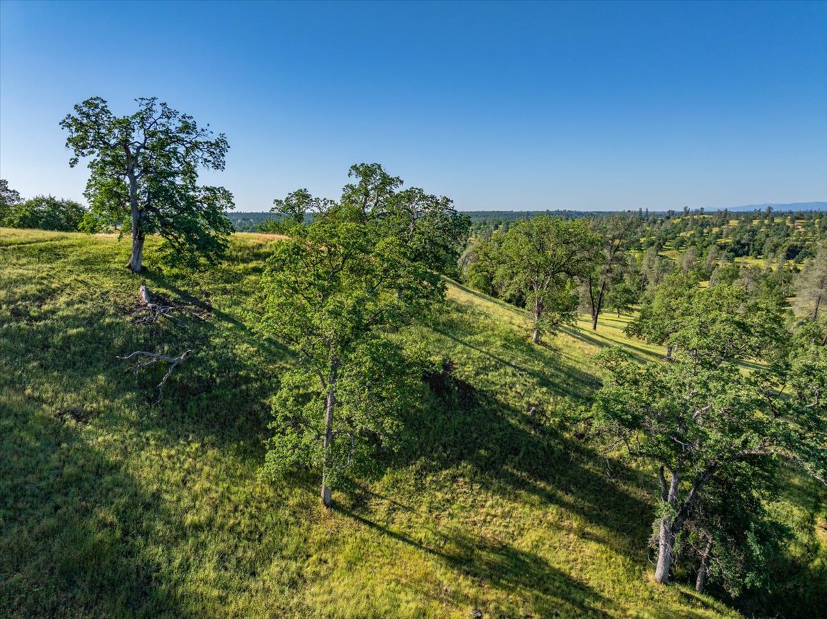 Davis Ranch Road