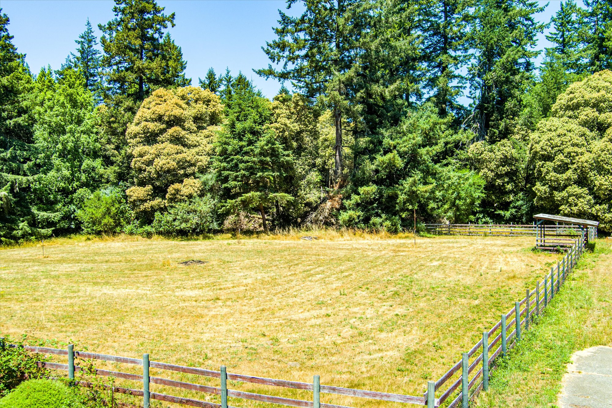 Listing Image 75
