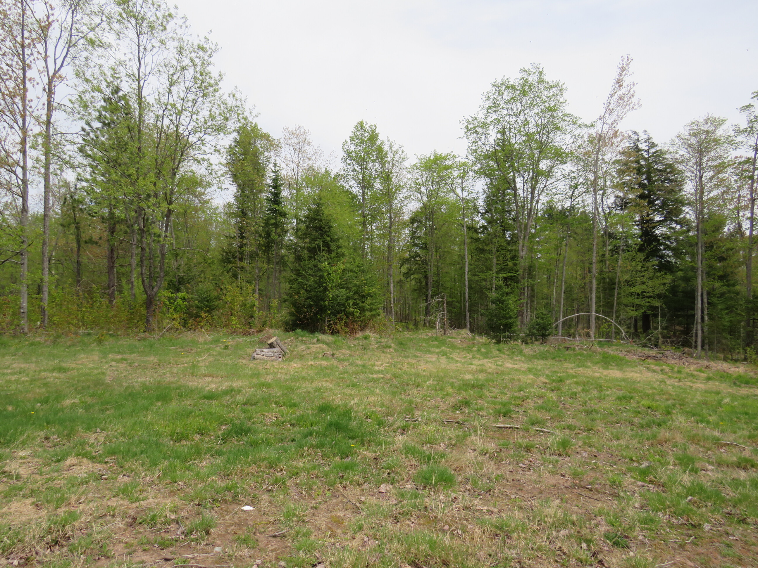 Michigan Recreational Property 50165363