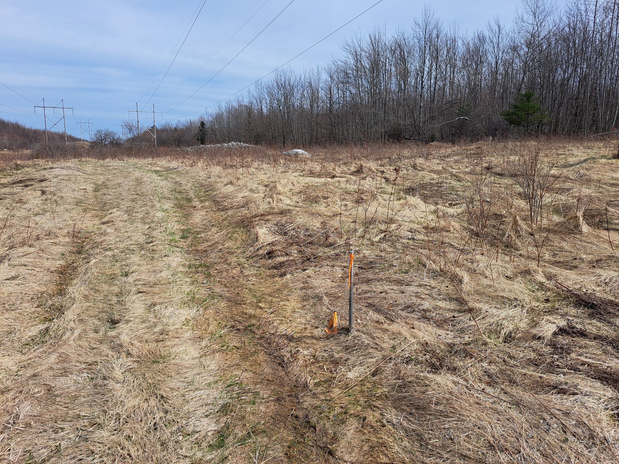 Listing Image 18