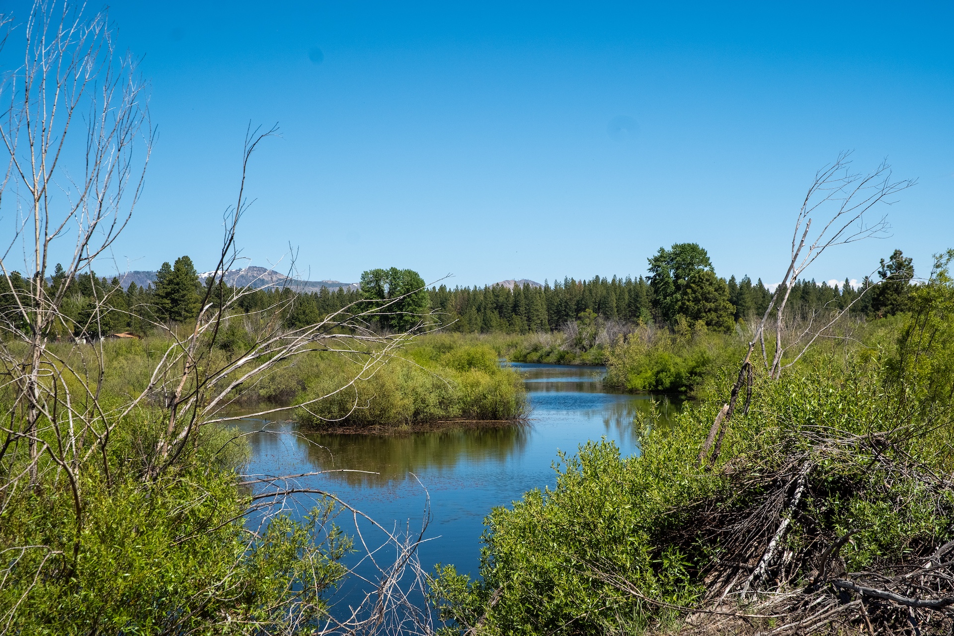 Red River Mill Site Westwood