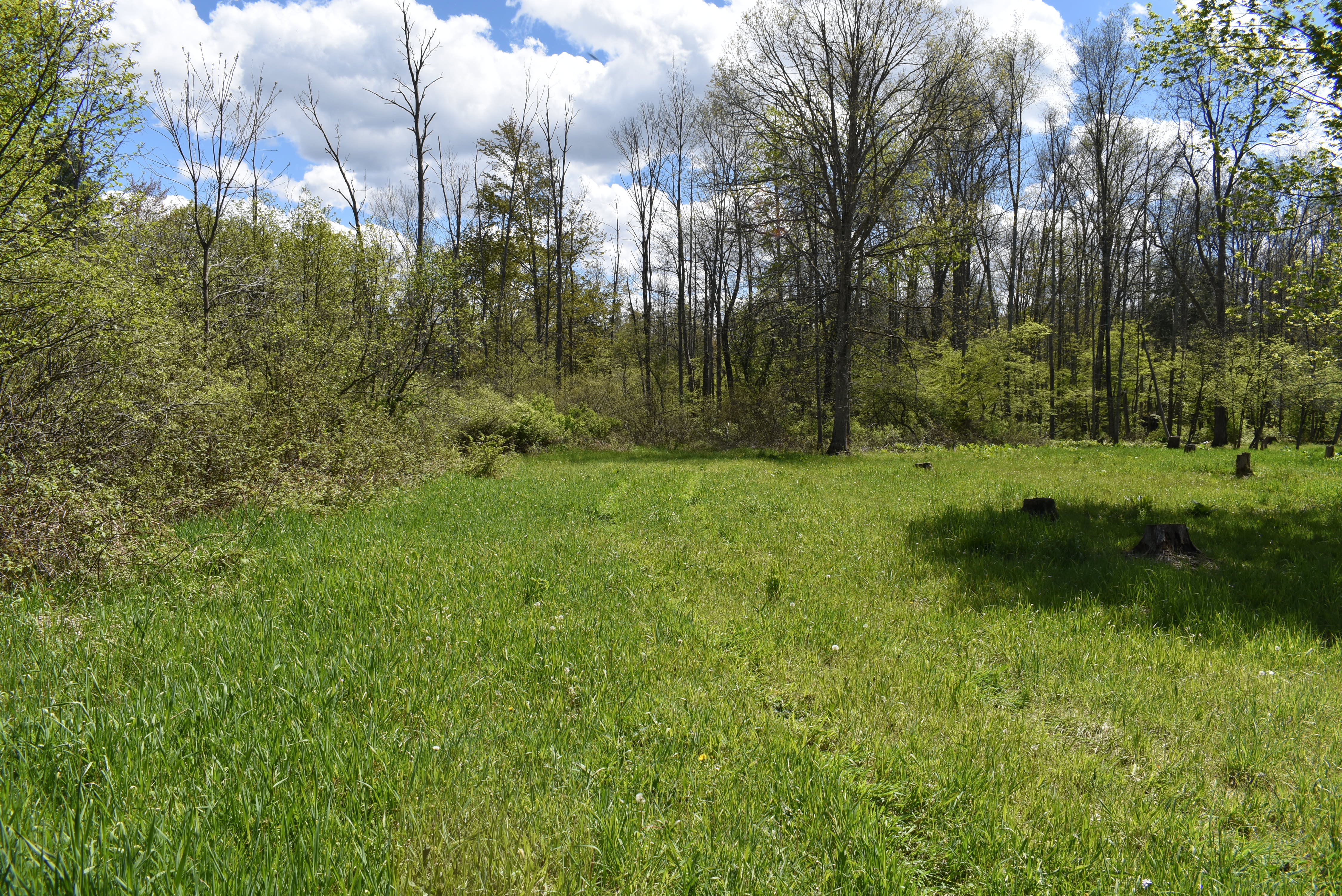Listing Image 24