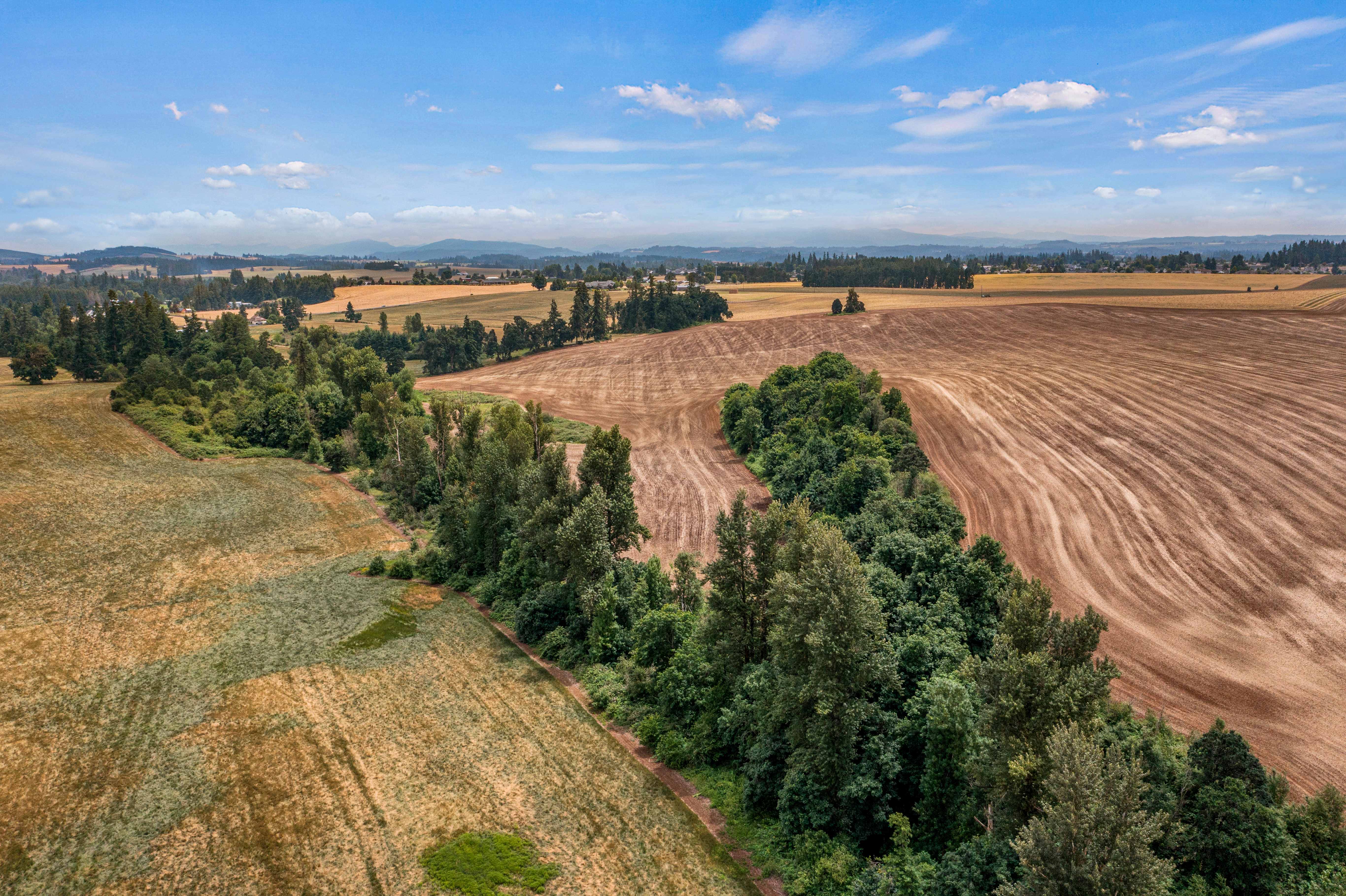 Sublimity 152 — Productive Willamette Valley Farm for Sale with Creek Frontage and Homesite Potential
