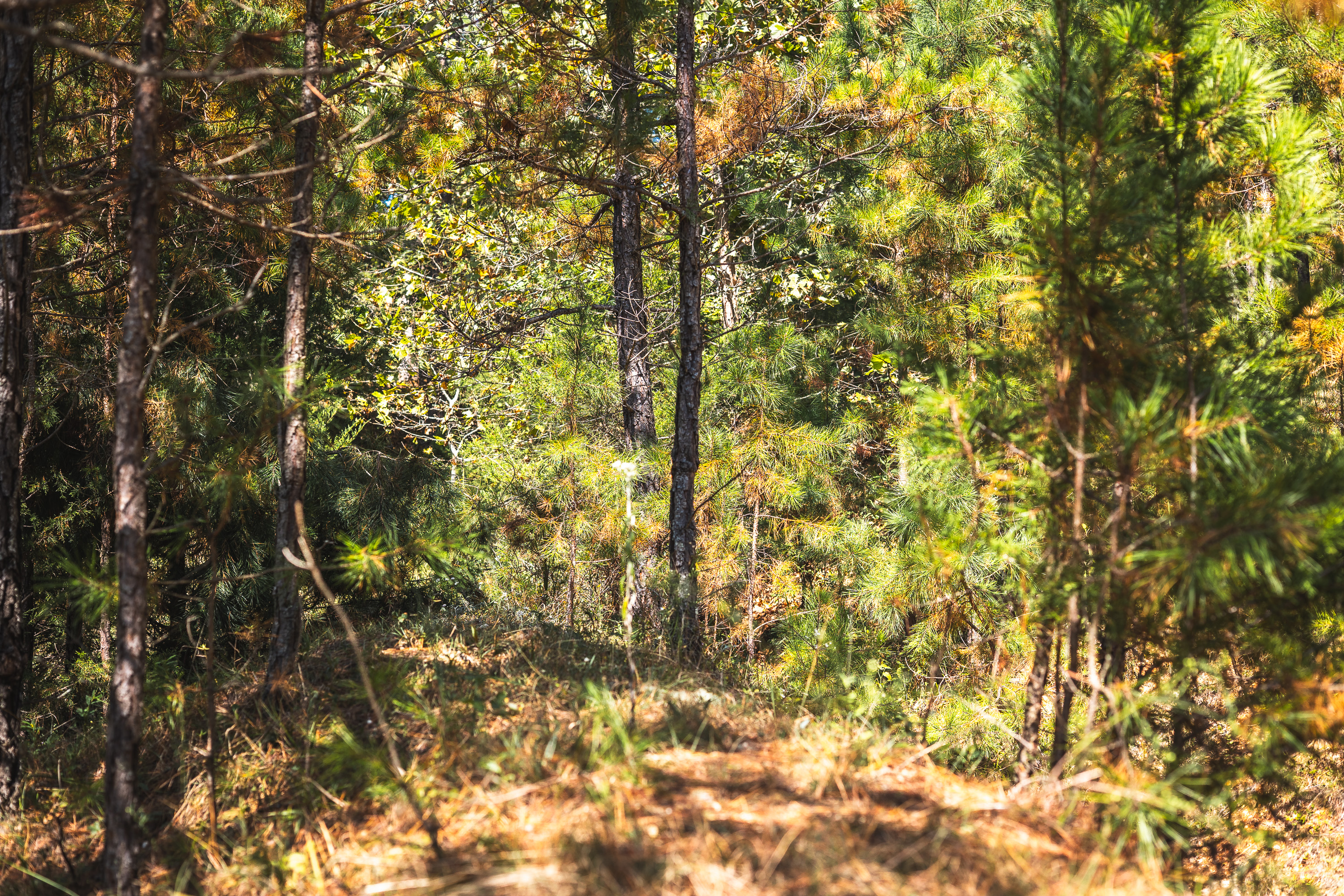 Ashley Creek Ranch 329