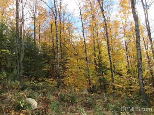 Michigan Private Lake Lot  50178194