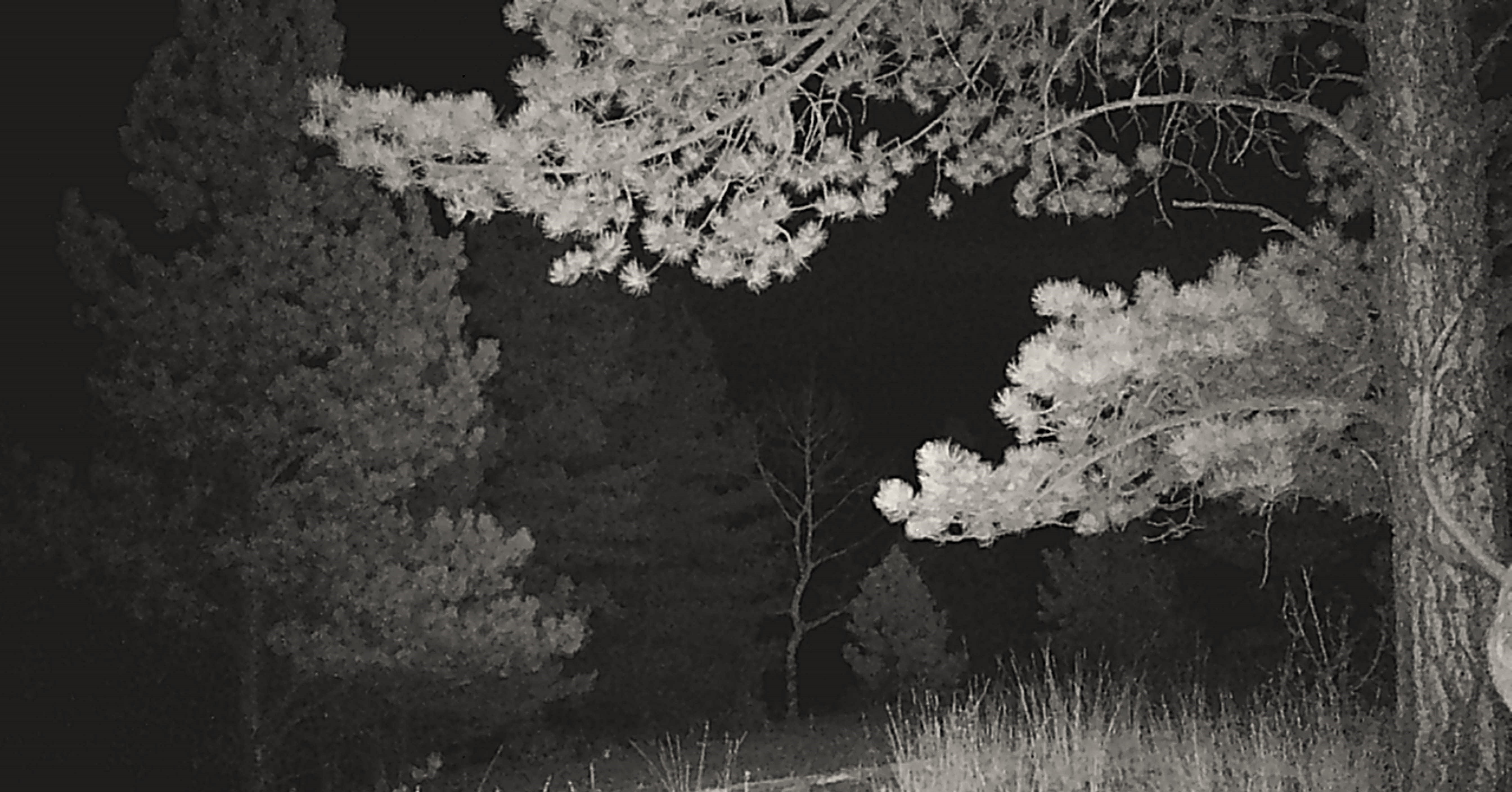 Listing Image 58