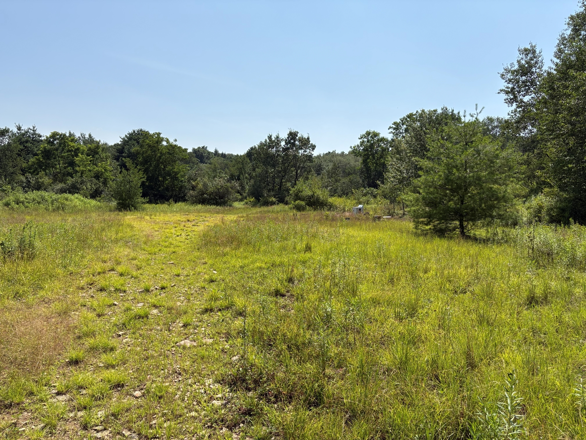 Listing Image 23