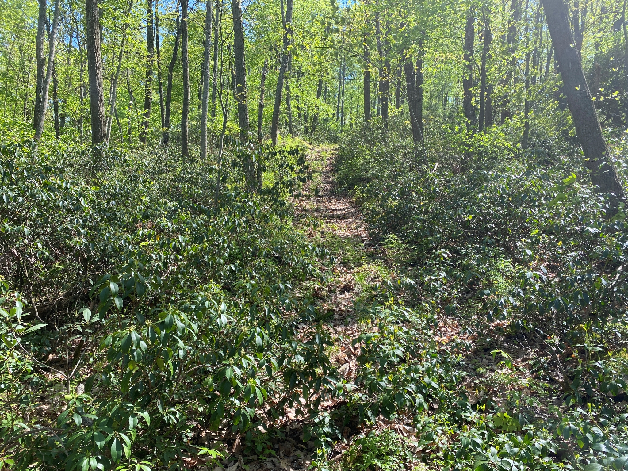 Listing Image 31