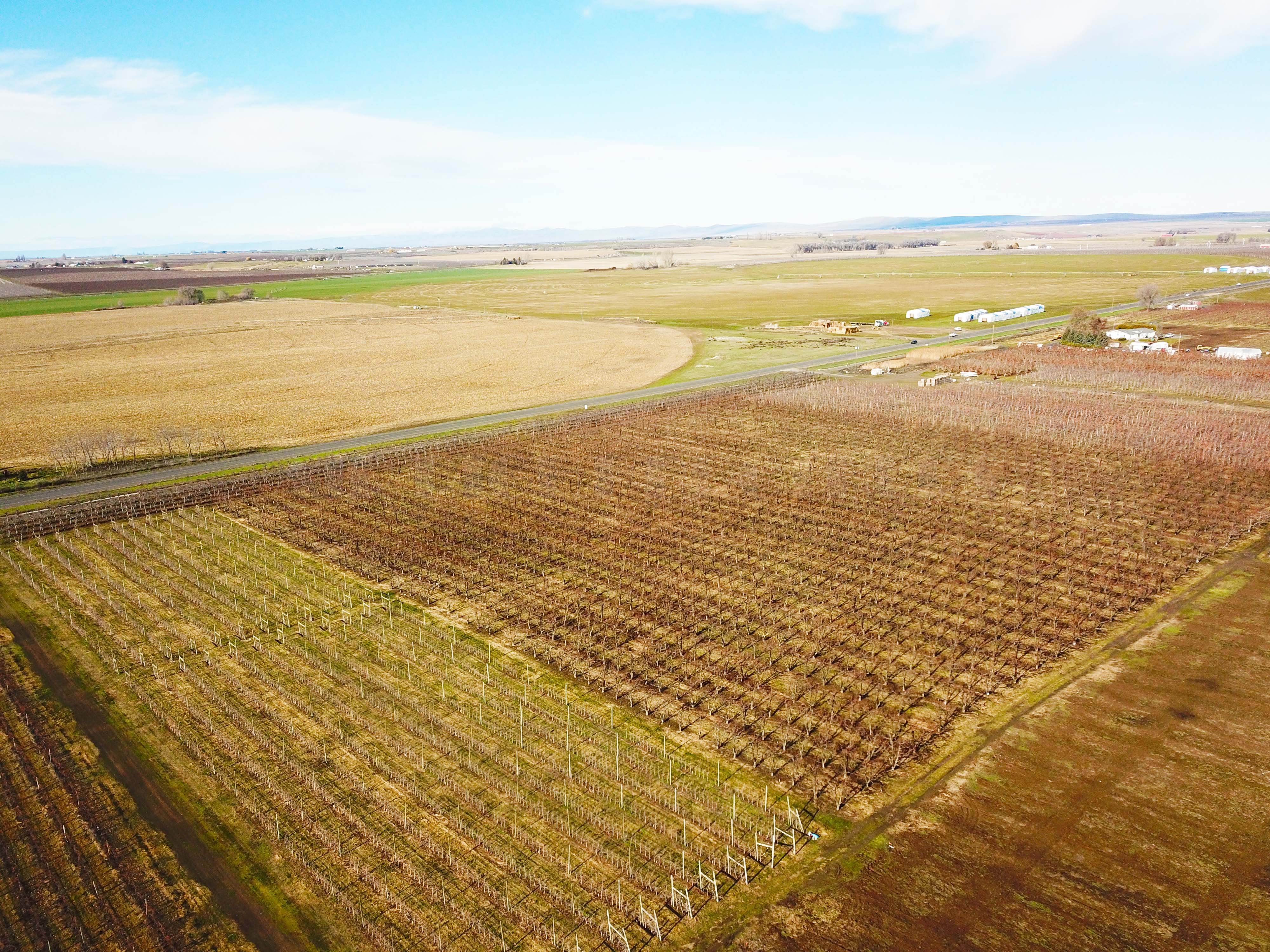 Best Price in County for Productive Orchard