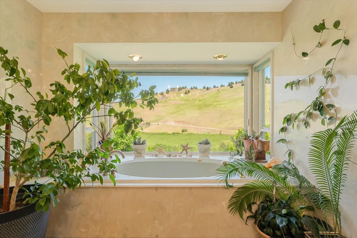 MJ Ranch