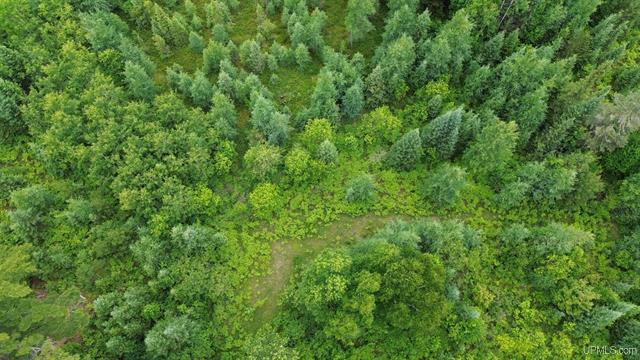 Pure Seclusion River Frontage 50181073