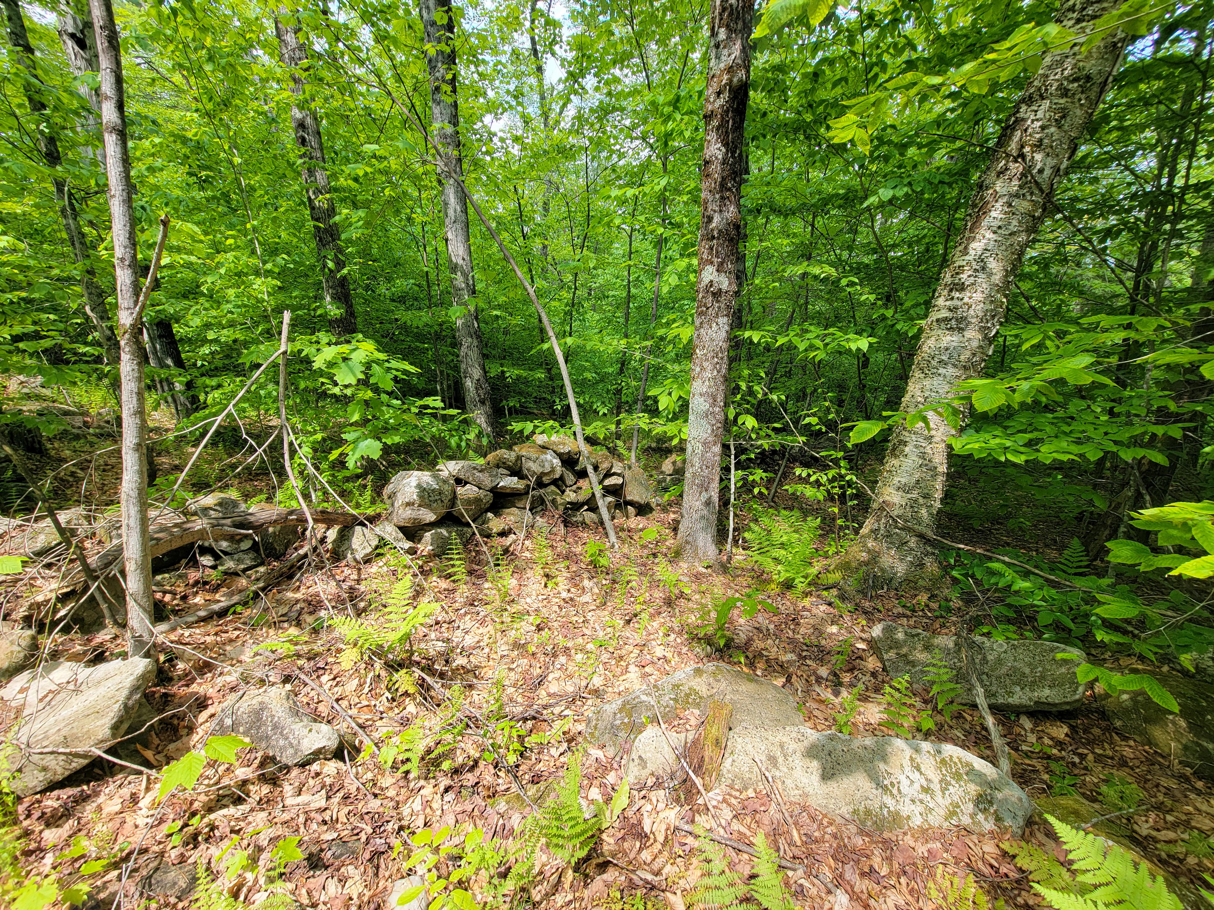 184 Schoolhouse Rd Jamaica