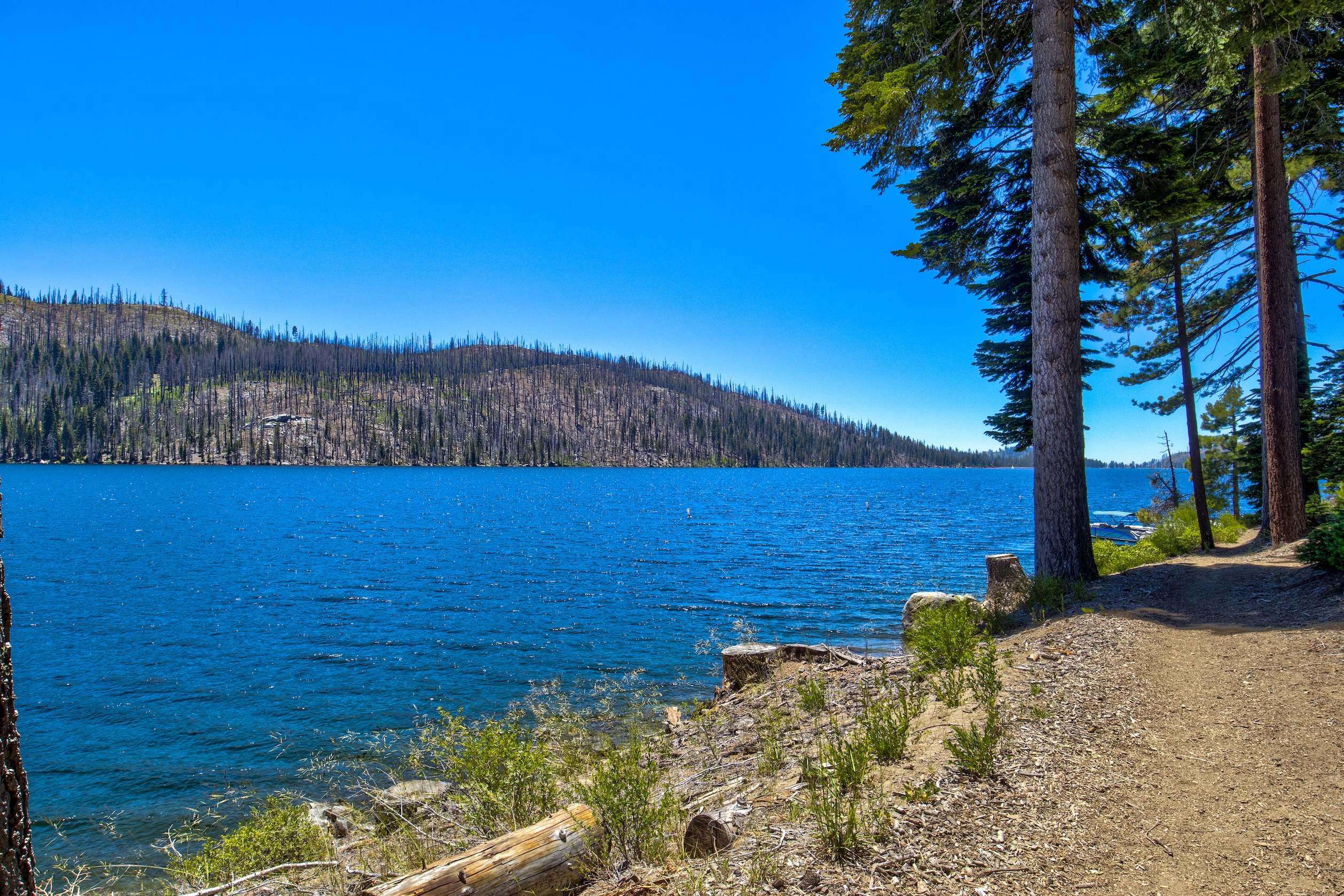 Listing Image 68