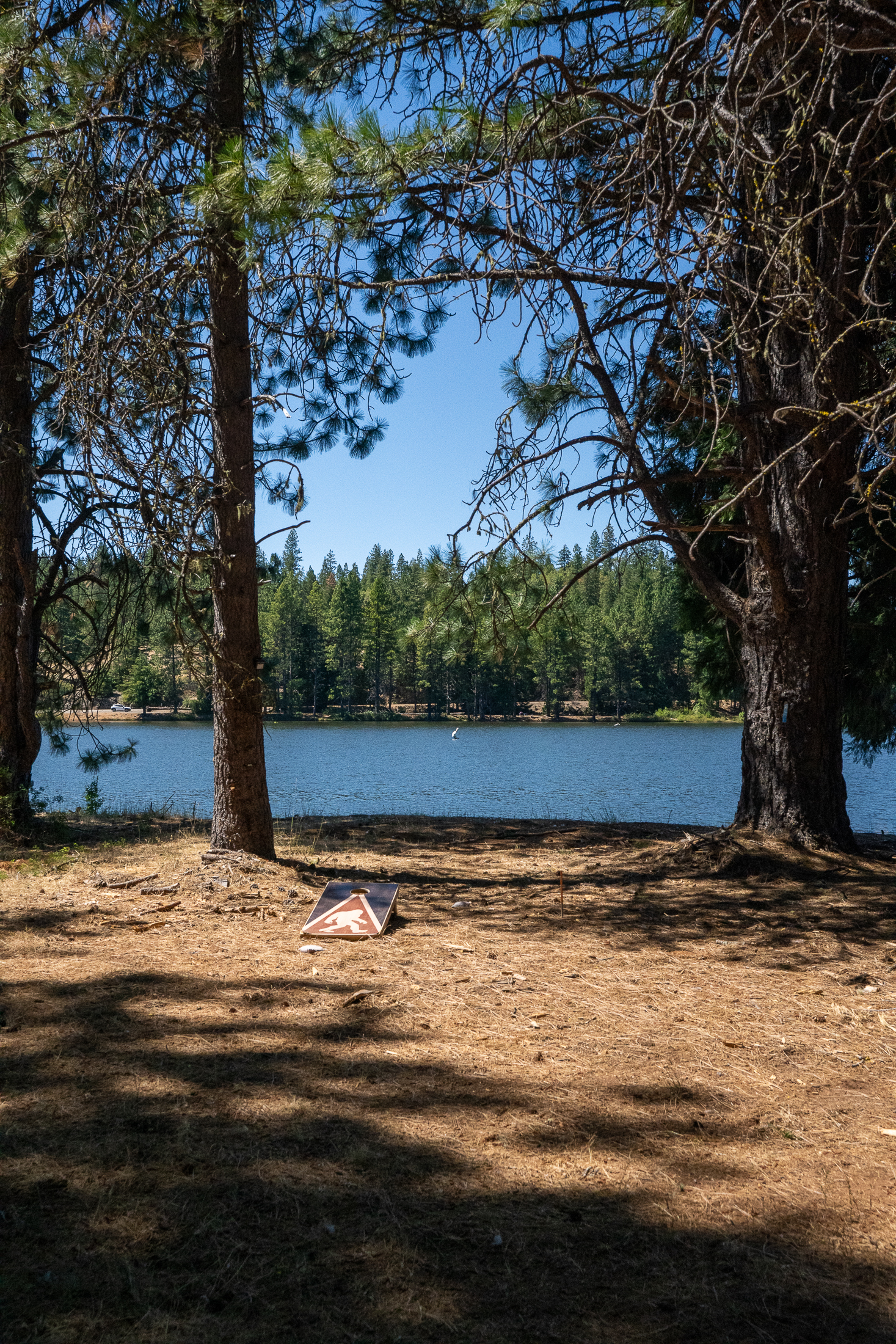 Medco Pond- Recreational Retreat