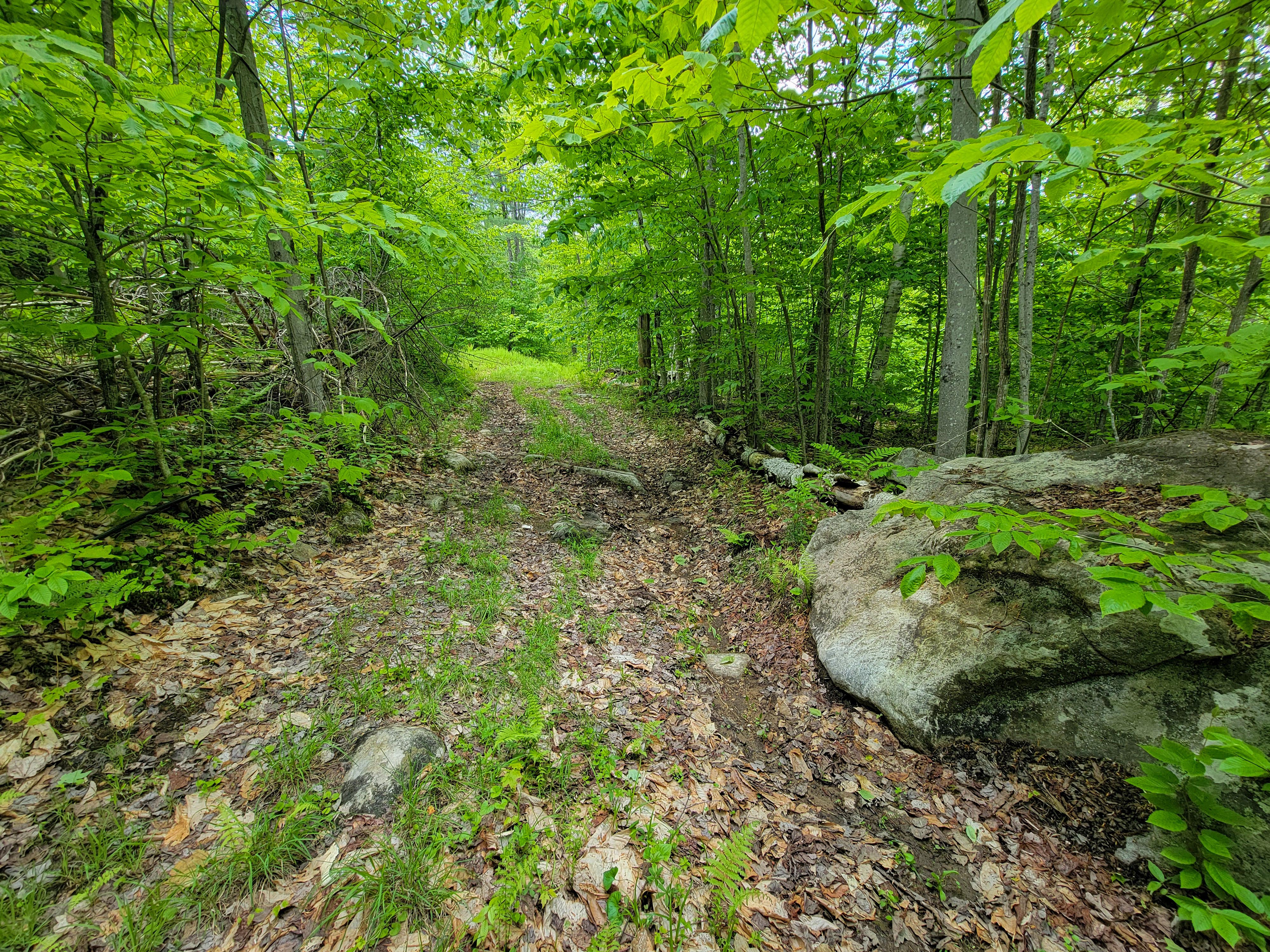 184 Schoolhouse Rd Jamaica