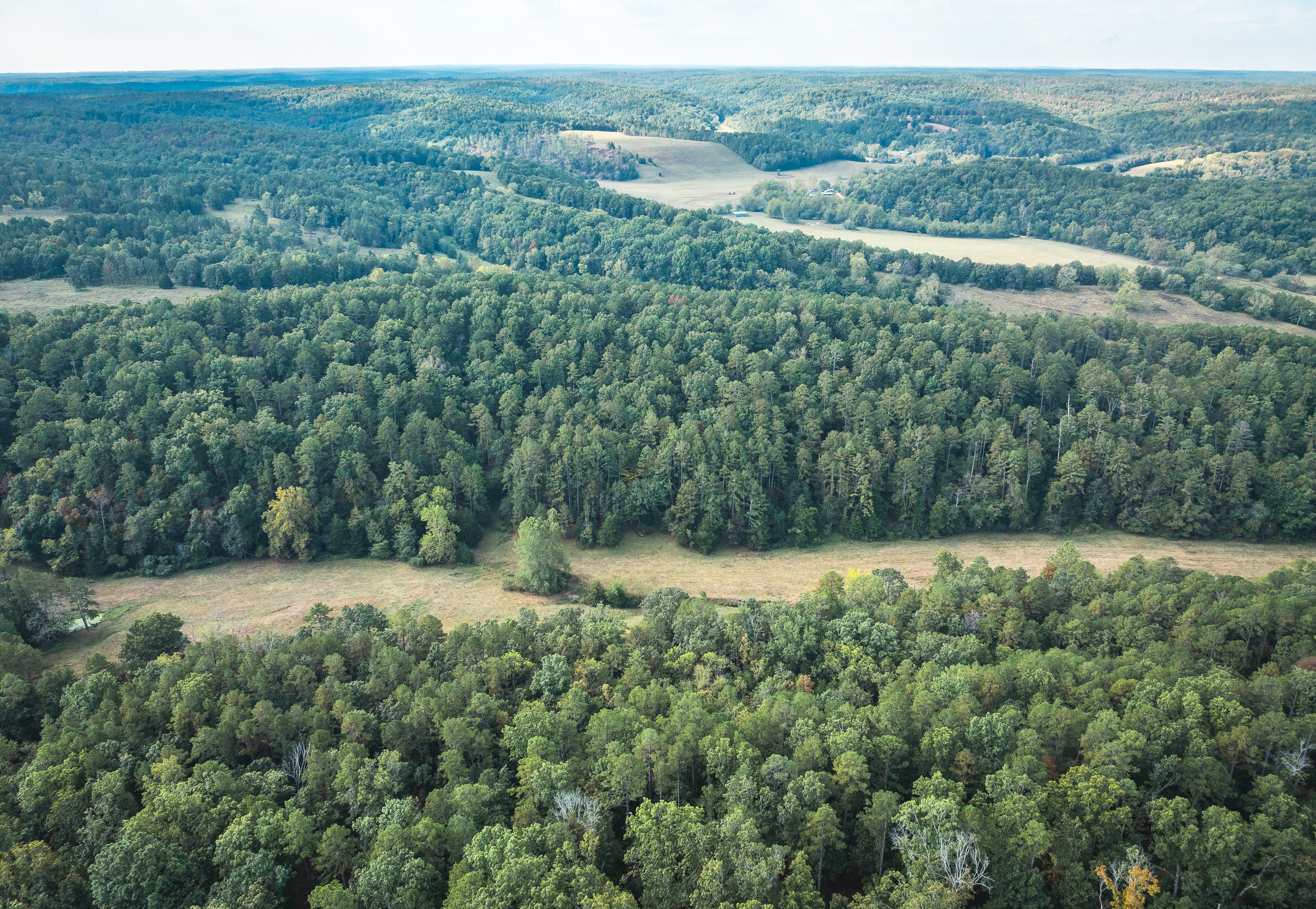 Ashley Creek Ranch 329