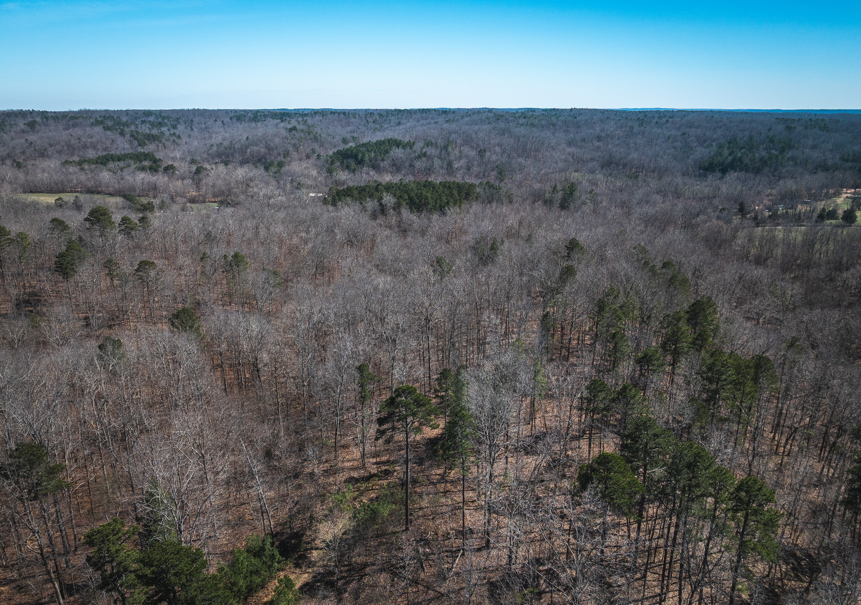 58 Acre Wildlife Retreat