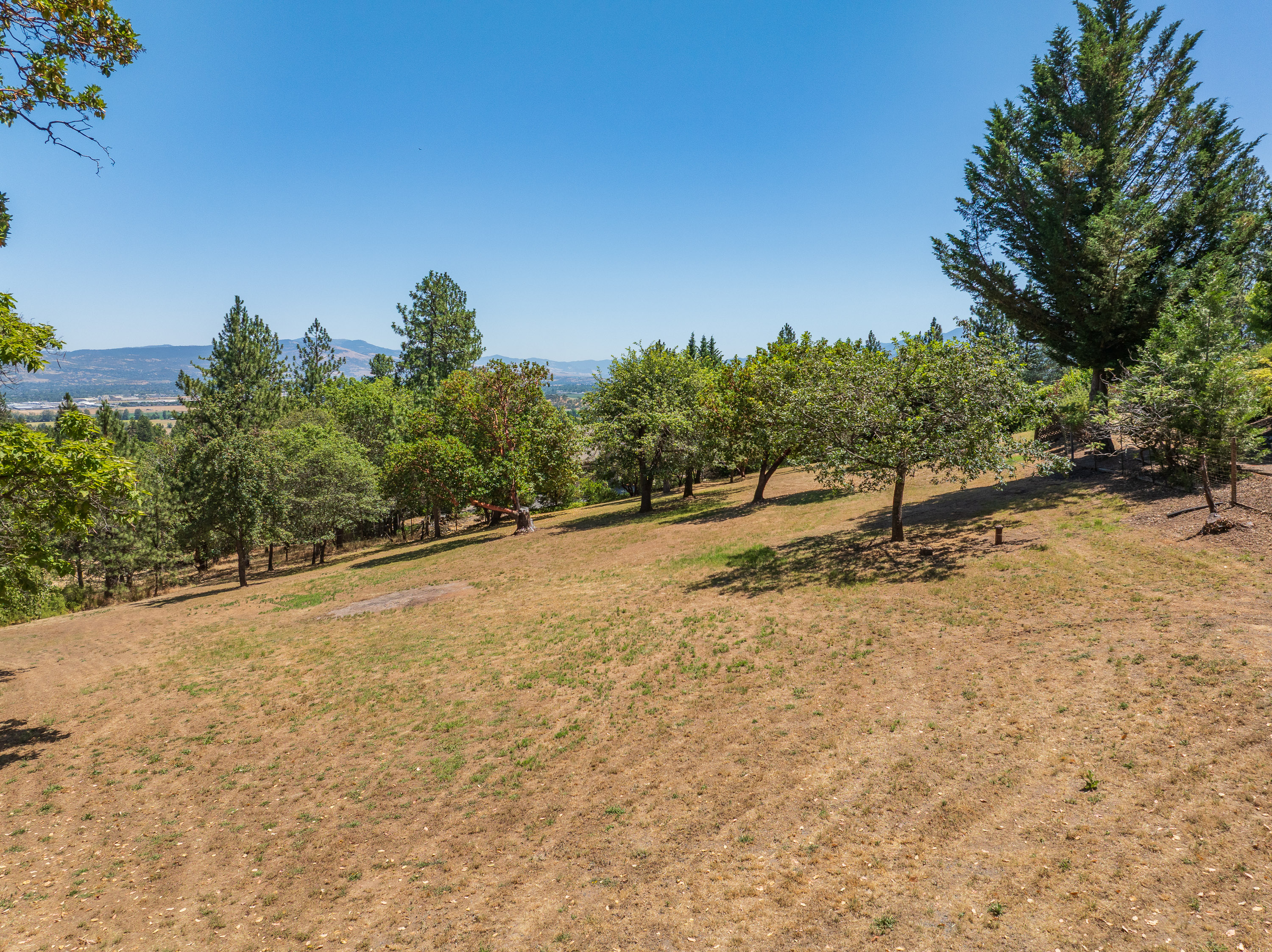 Listing Image 65
