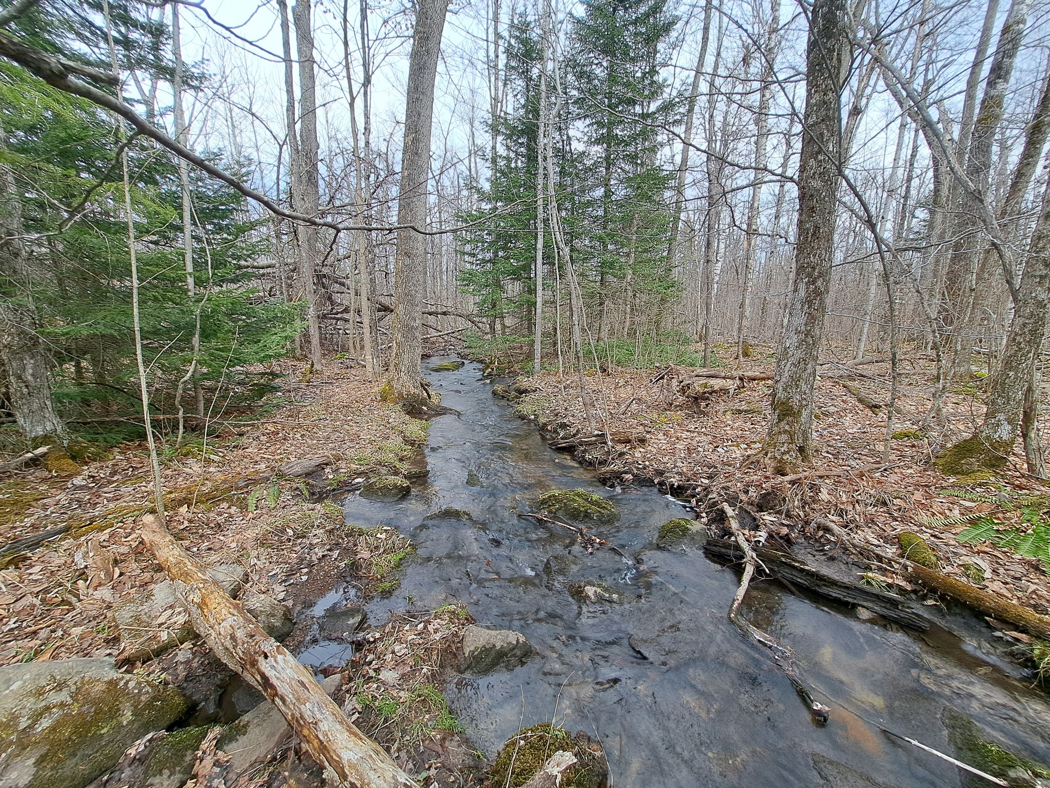 Listing Image 60
