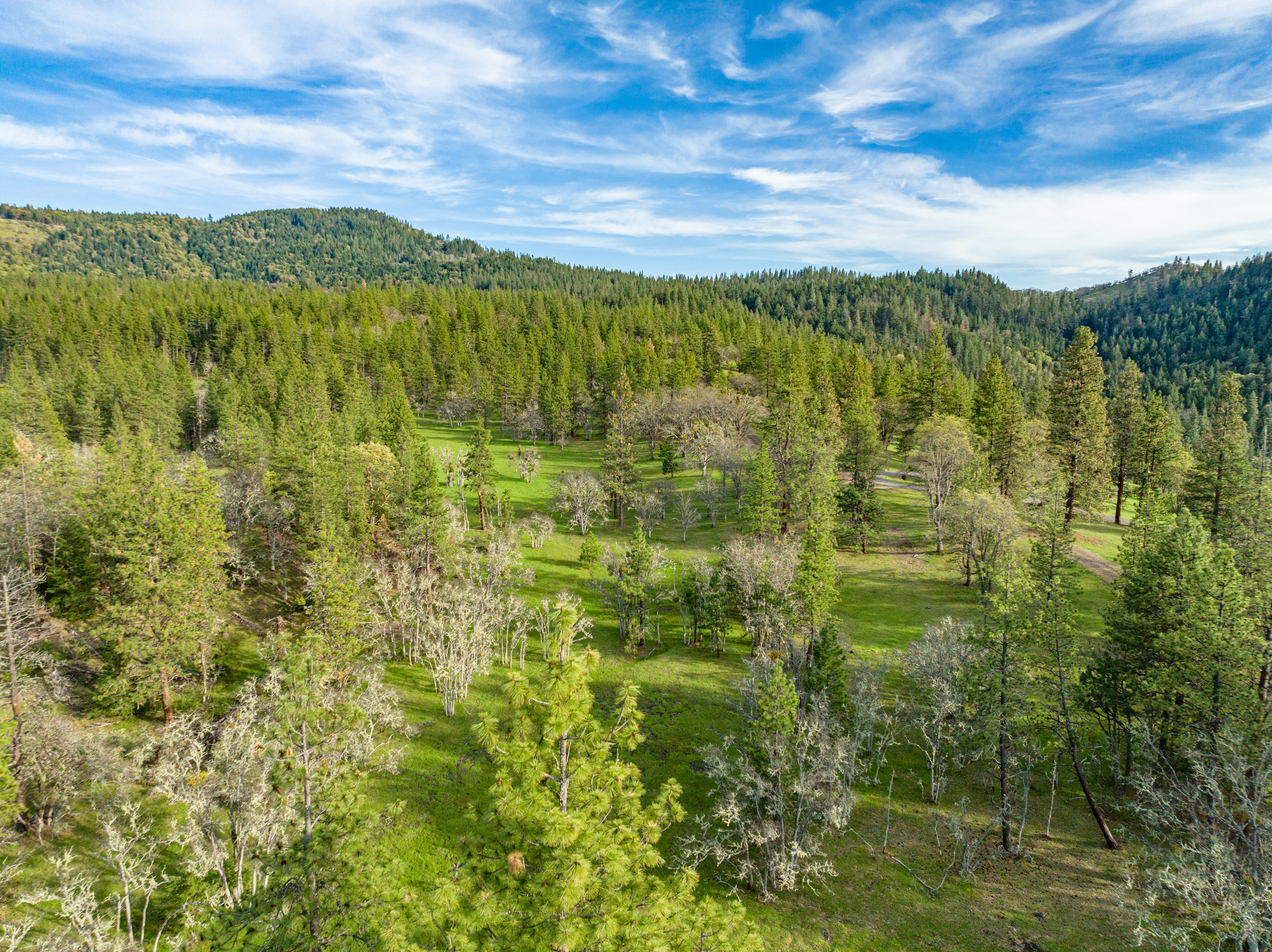 Mount Baldy Ranch