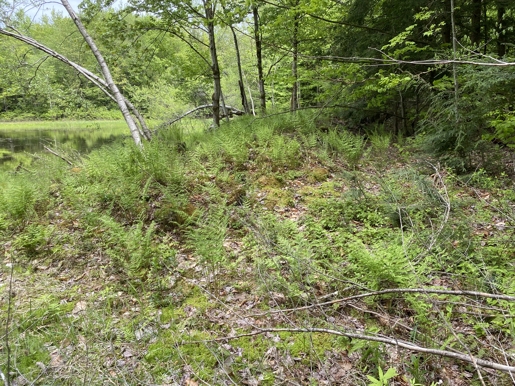 Listing Image 23
