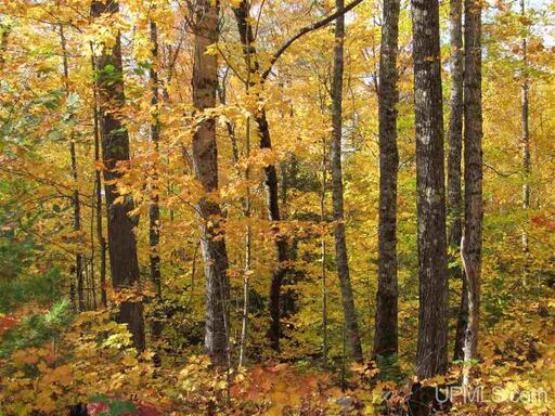 Michigan Private Lake Lot  50178194