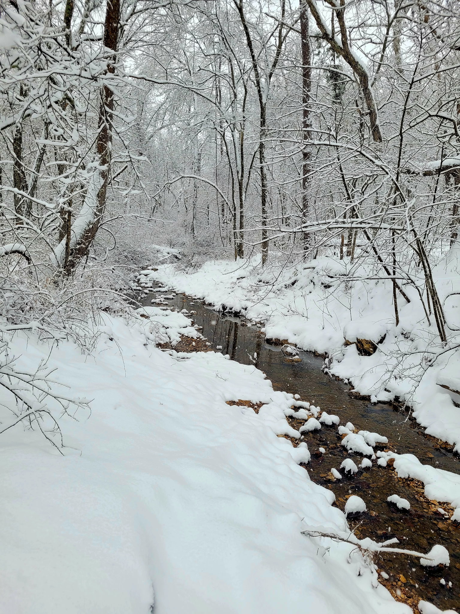 Curly Holt Camp at Peterball Spring