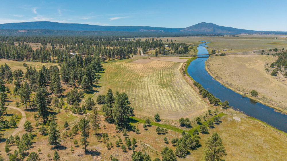 Listing Image 89