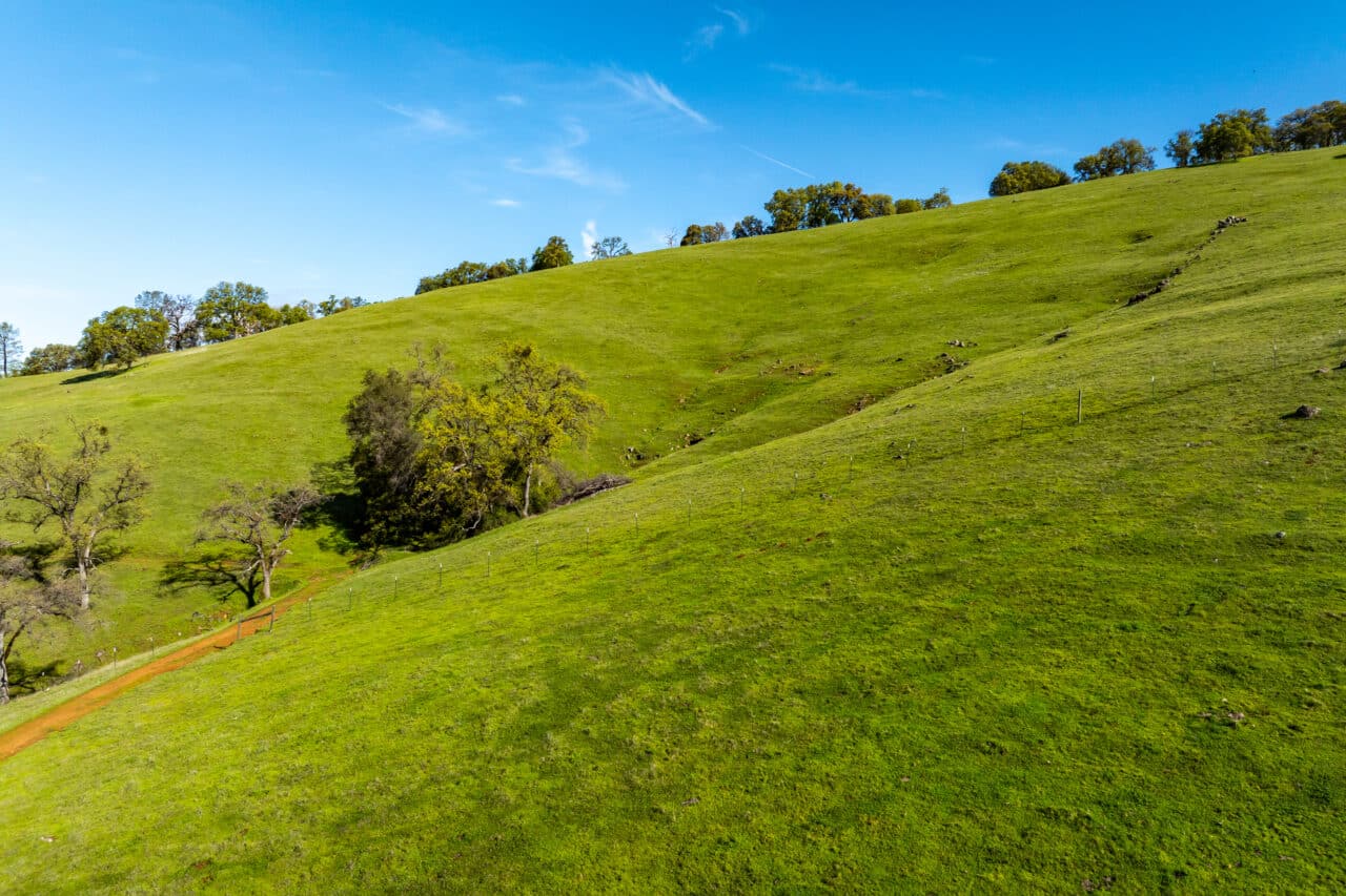 Hyatt Ranch